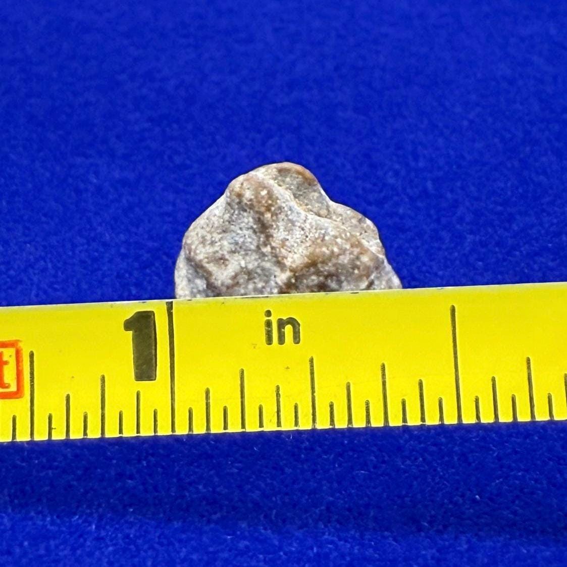 NWA 13974 Moon|Lunar Meteorite, Feldspathic Breccia, Moon Meteorite, Meteorite Collection, Lunar Feldspathic Breccia, 0.82 grams