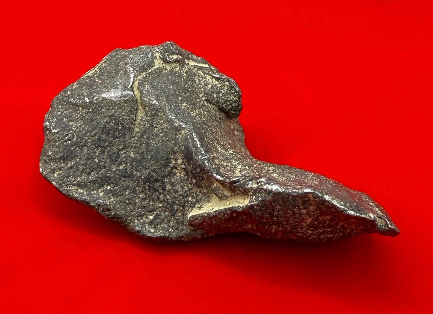 Unique Iron Meteorite Specimen Gebel Kamil, 92.00 grams, Astronomy Gift, Space Gift, Iron Meteorite, Egypt, Meteorite Collection, Space