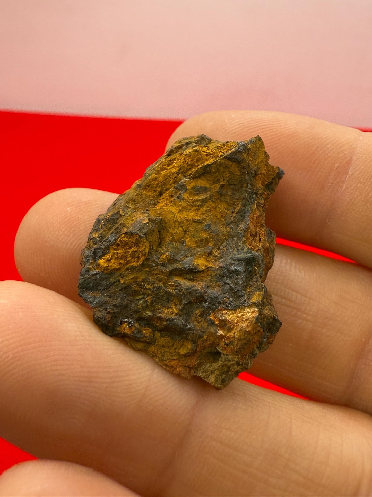 Wolf Creek Meteorite Specimen, Australia, 9.91 grams, Rare Meteorite, Iron Meteorite, Astronomy Gift, Space Gift, Australian Meteorite