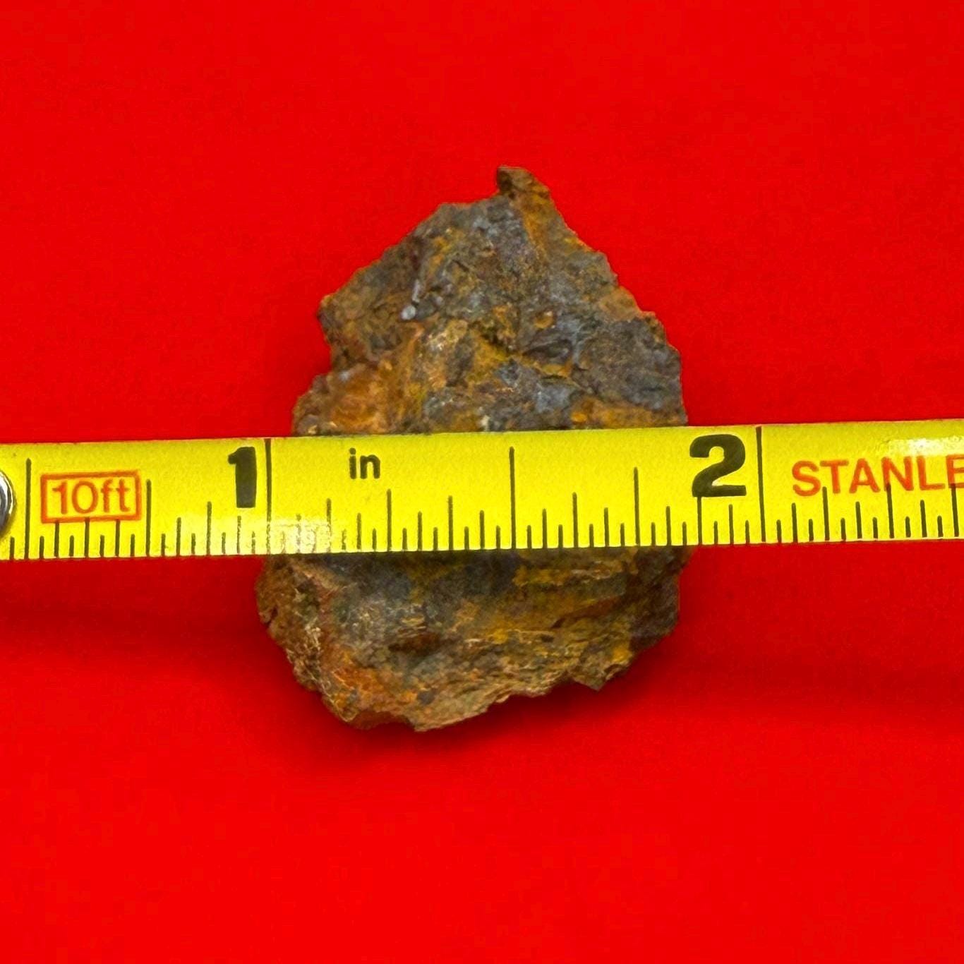 Wolf Creek Meteorite Specimen, Australia, 9.91 grams, Rare Meteorite, Iron Meteorite, Astronomy Gift, Space Gift, Australian Meteorite