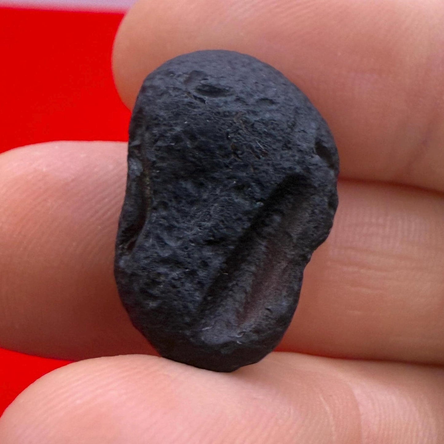 Saffordite Stone, Cintamani, Rare and Beautiful, Shamanic, Arizona, Pseudotektite, Obsidian, Metaphysical, 4.46 grams