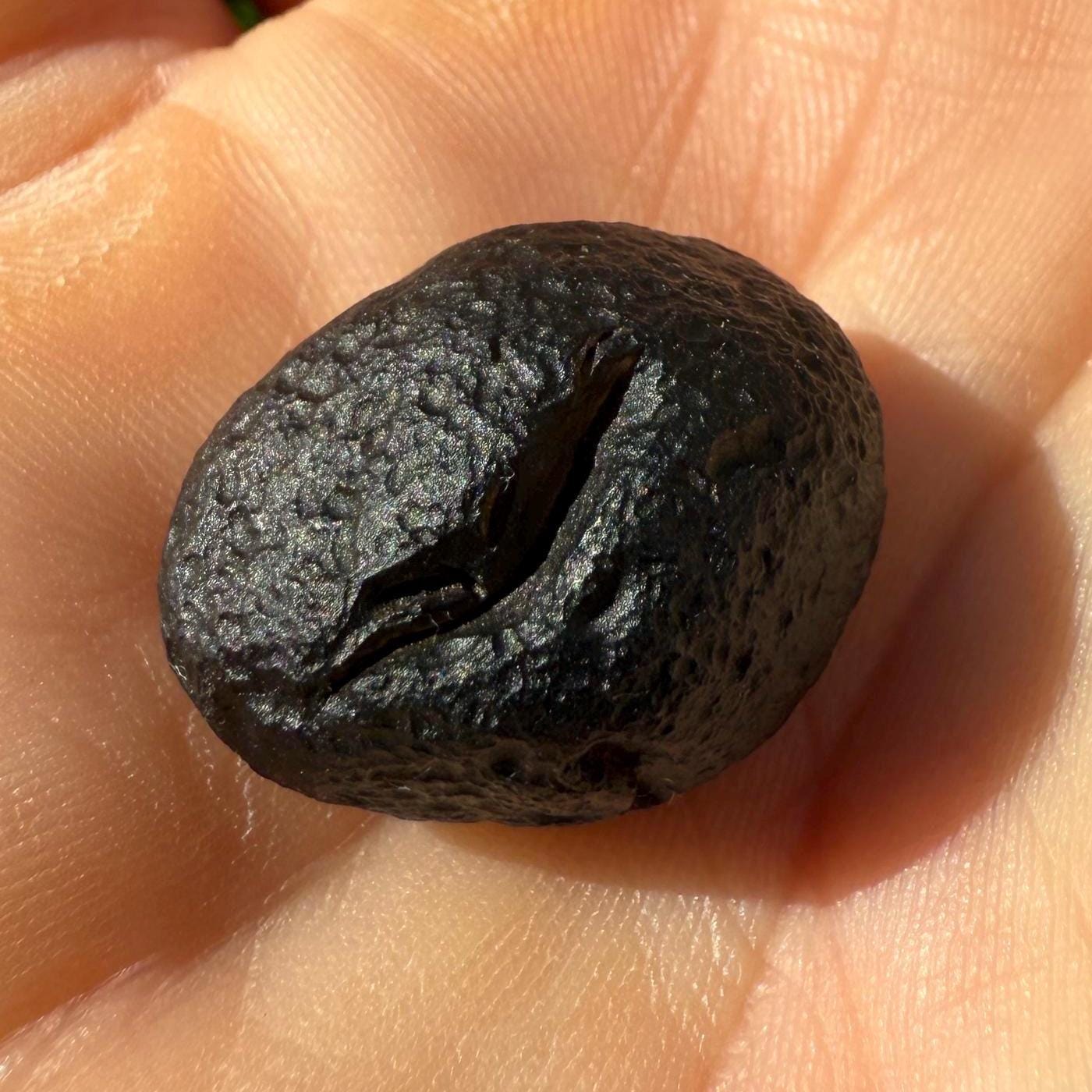 Saffordite Specimen, Cintamani, Rare and Beautiful, Shamanic, Arizona, Pseudotektite, Obsidian, Metaphysical, 5.47 grams