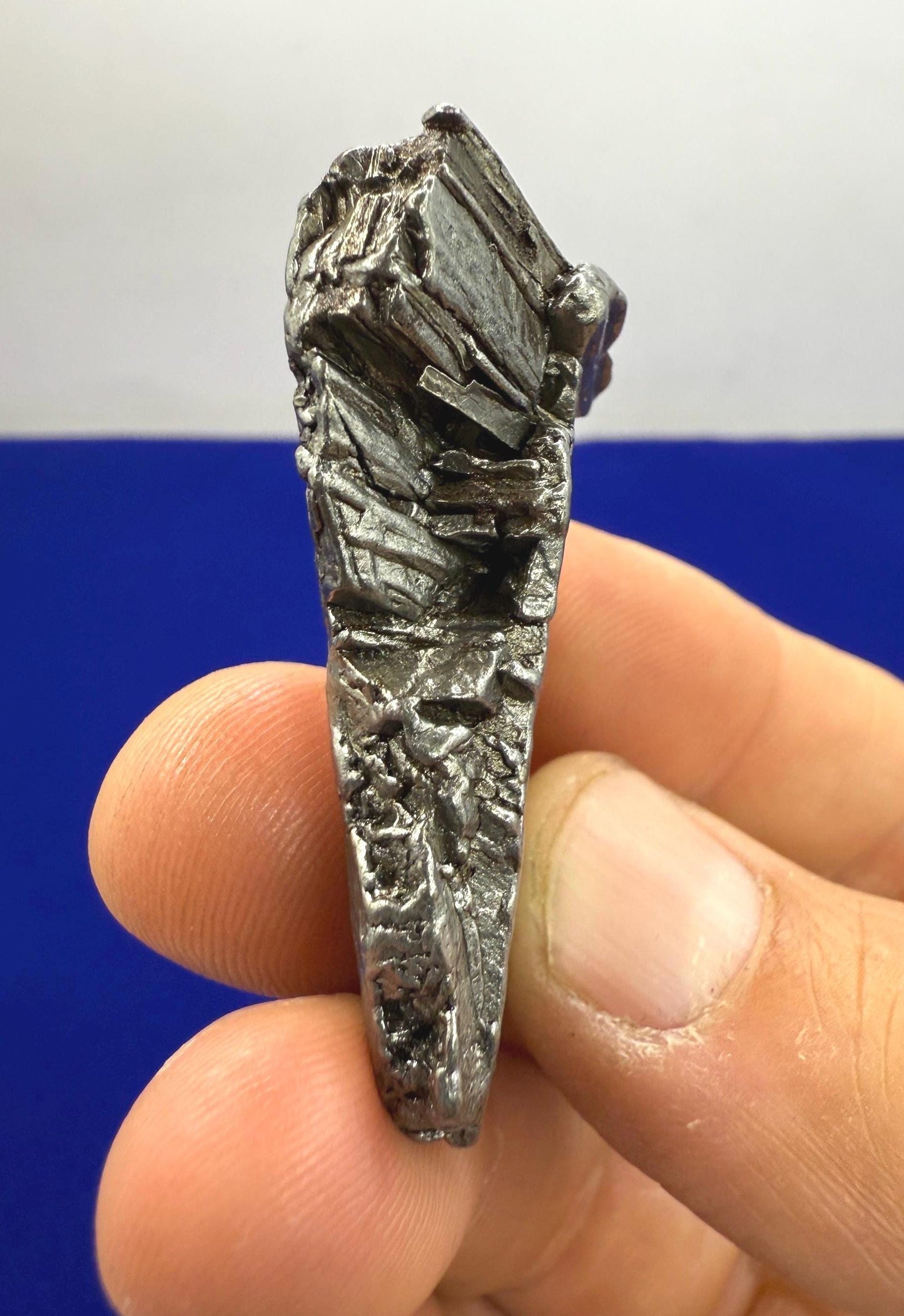 Beautiful Aletai Meteorite Specimen, 32.16 grams, COA, Meteorite Collection, Astronomy Gift, Authentic Iron Meteorite, Space Gift, Space