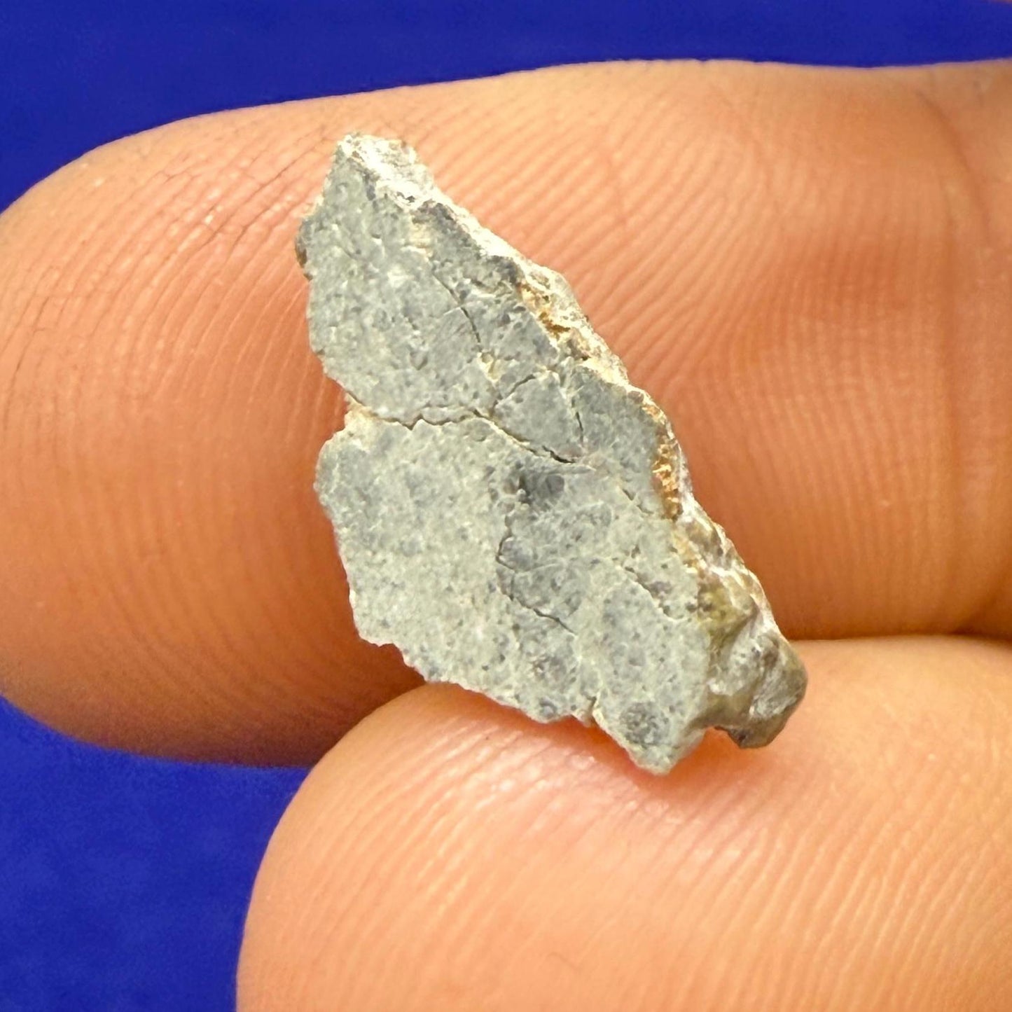 Gadamis 003 Moon/Lunar Meteorite Slice, Authentic Lunar Meteorite,Apollo Lunar, Moon Meteorite, Meteorite Collection, Moon Slice, 0.51 grams