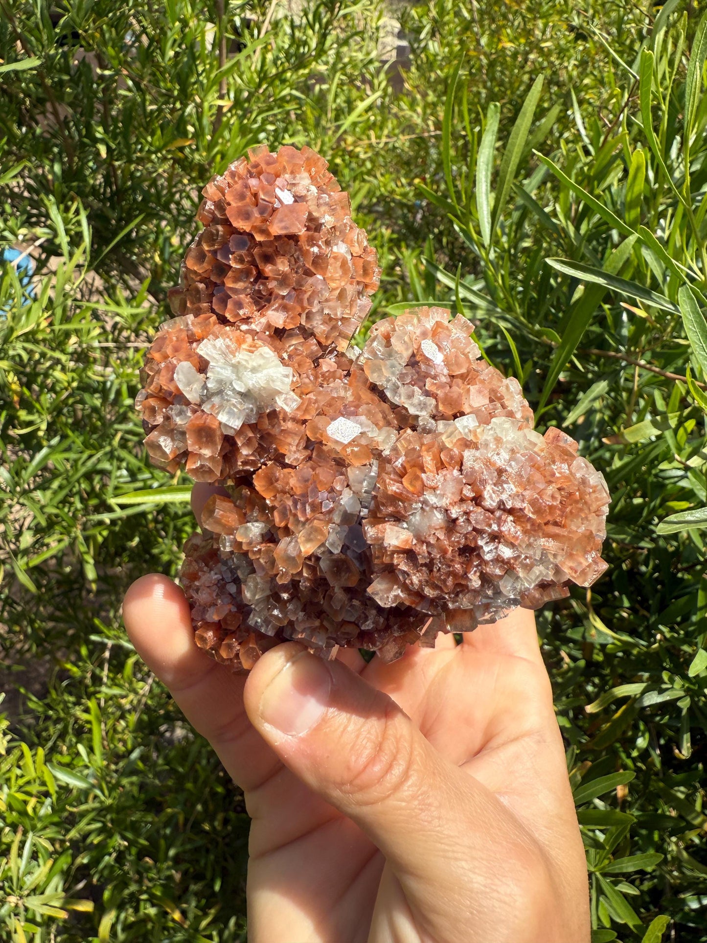 Beautiful Top Grade Aragonite Crystal, Aragonite, Aragonite Star Cluster, Confidence, Emotional Healing, Crystal, 1 lb 5.5 ounces