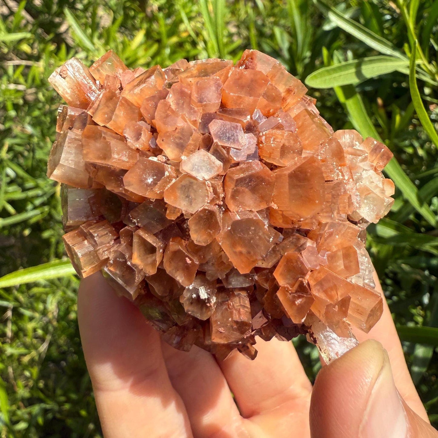 Beautiful Top Grade Aragonite Crystal, Aragonite, Aragonite Star Cluster, Confidence, Emotional Healing, Crystal, 215 Grams
