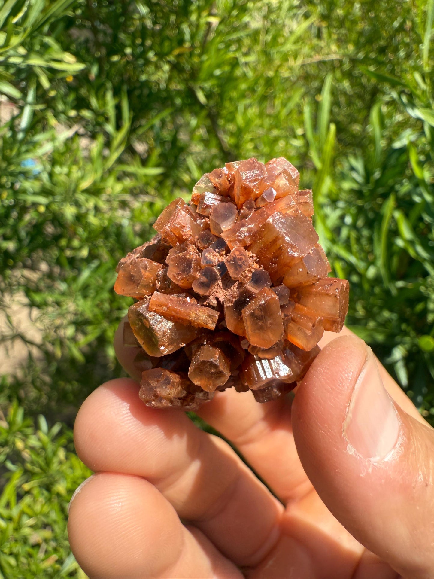 Beautiful “Top Grade” Aragonite Crystal, Aragonite, Aragonite Star Cluster, Confidence, Emotional Healing, Crystal, 35.23 grams