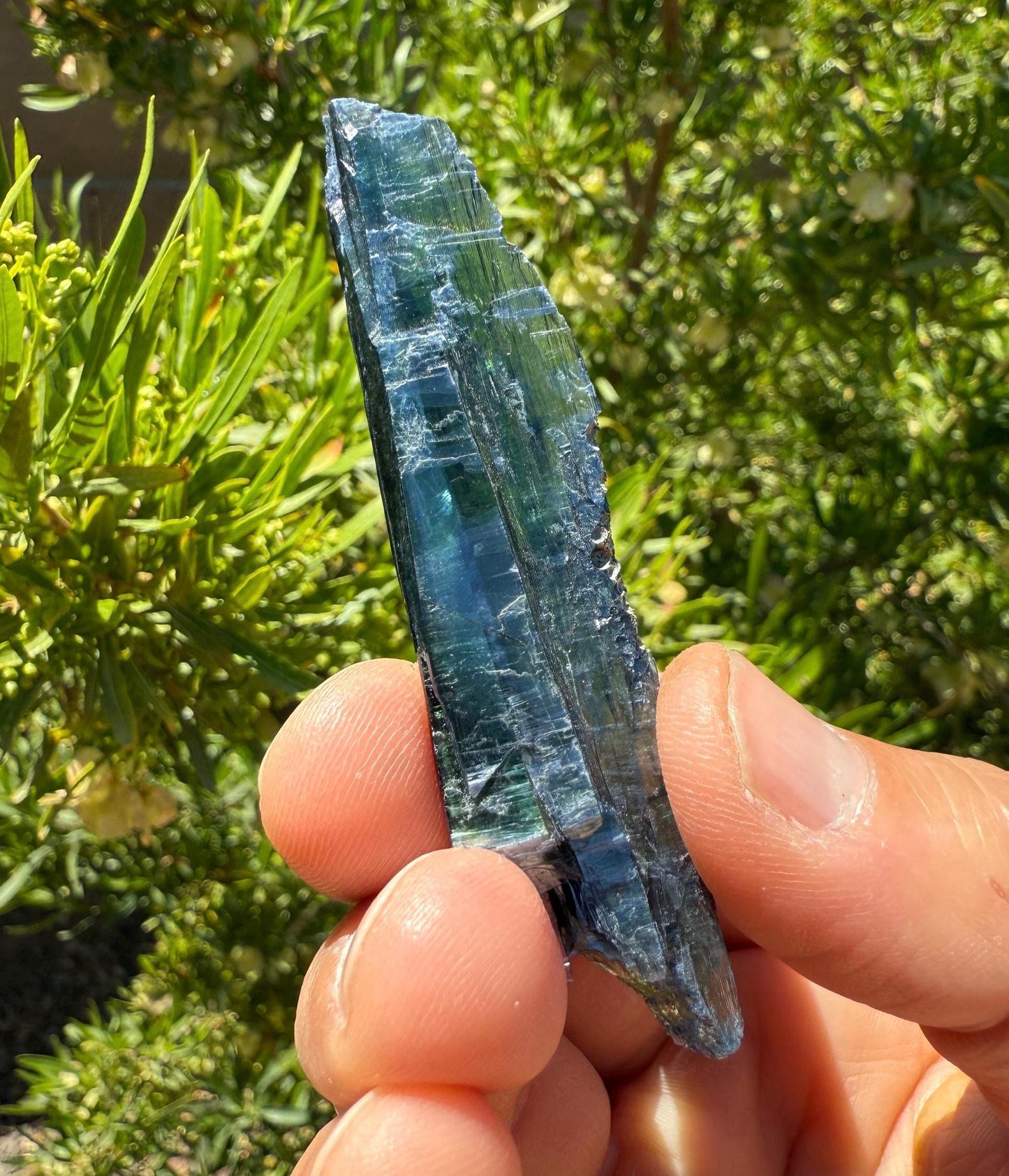 Rare Vivianite Crystal, Vivianite, Vivianite, Brazilian Vivianite, Reiki Energy, Crystal Collection, Reiki, 10.99 grams| 54.95 carats