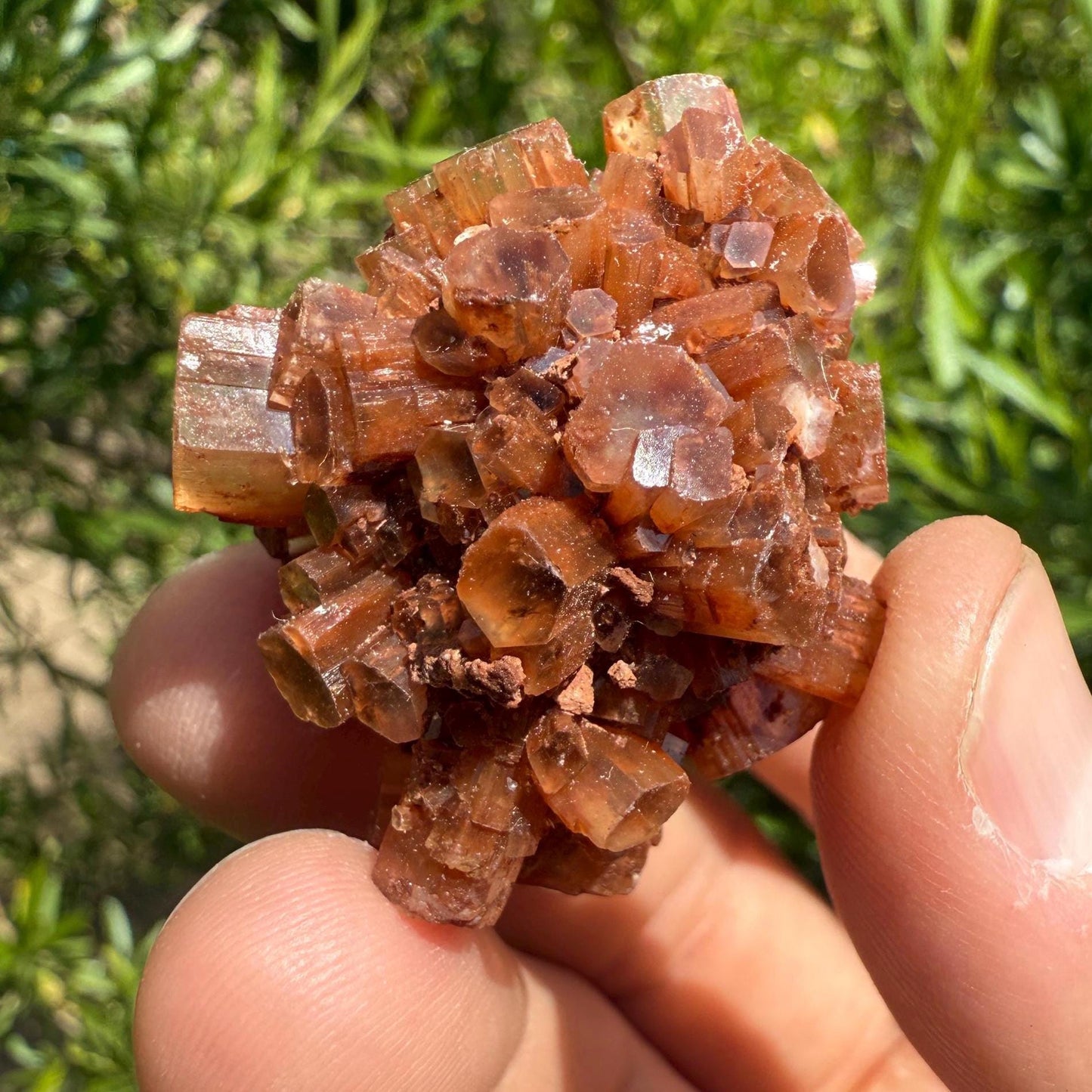 Raw Aragonite Crystal Cluster from Morocco, Natural Red Brown Aragonite, Root Chakra, Earthy Healing Stone, 35.23 Grams, Mineral Specimen