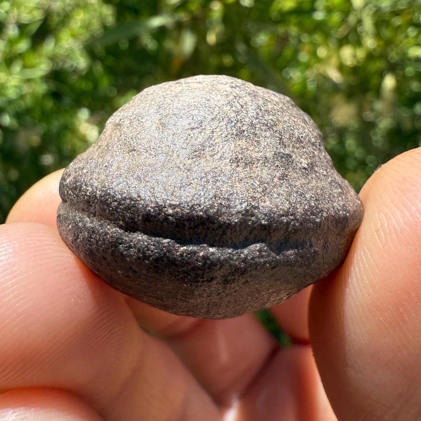Moqui Marbles, Pair of Stones, Top Quality Stones, Shaman Stones, Southern Utah, Thunder Stones, Hopi Marbles, Sandstone, 48.63 grams