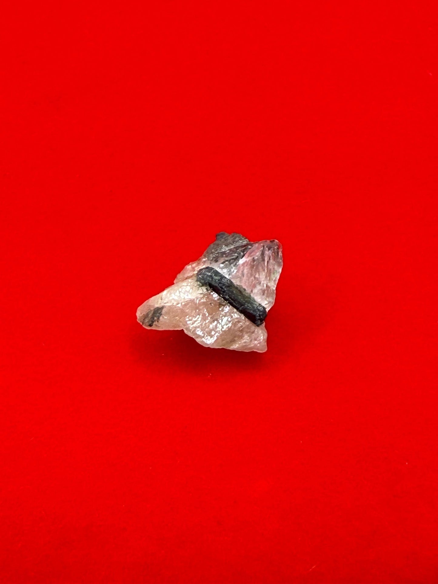 Rare Brazilian Phenacite with Black Tourmaline & Biotite, Bahia, Brazil, Authentic Brazilian Phenacite, Meditation, 1.43g/7.15ct, Crystal