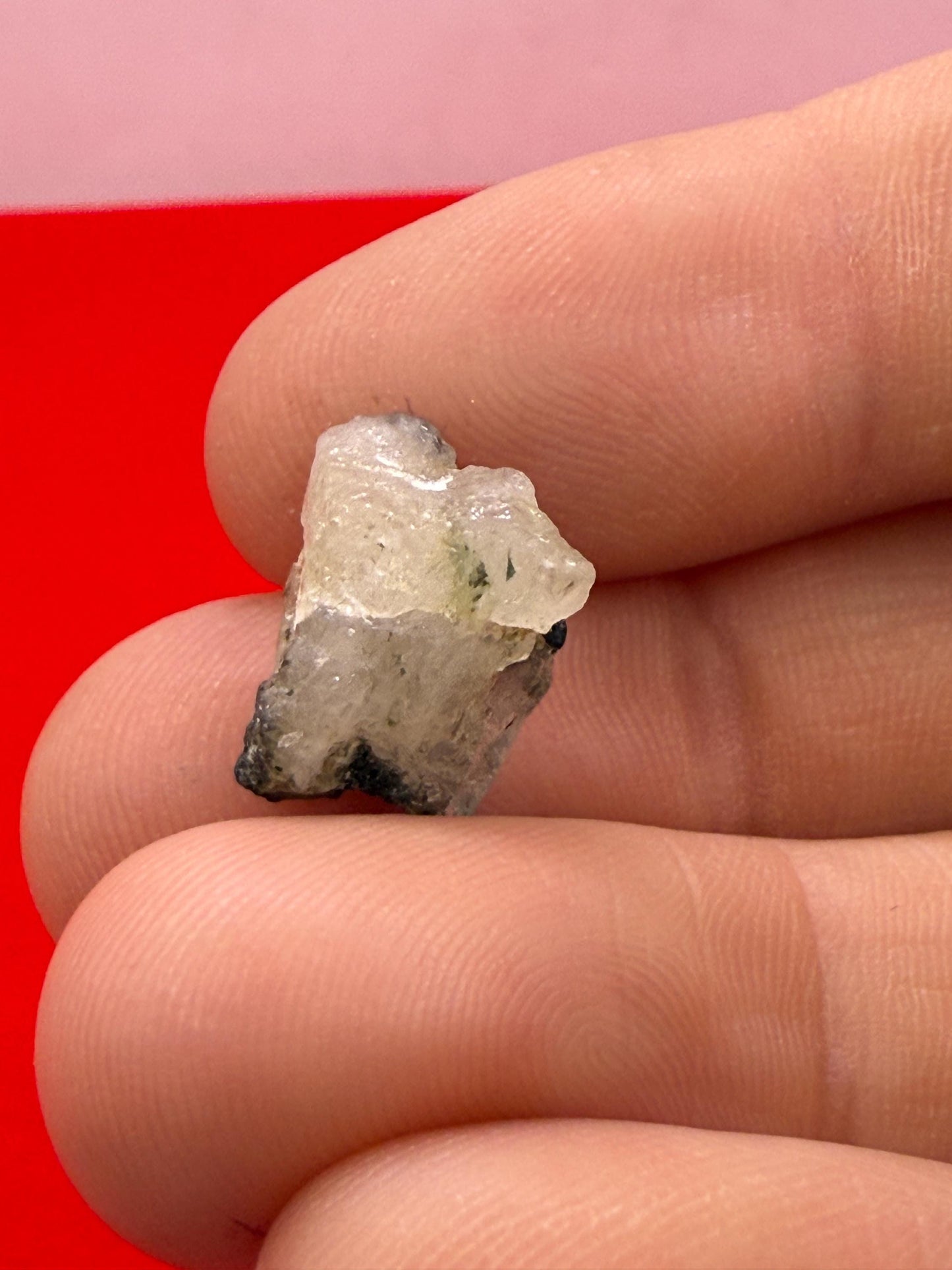 Rare Brazilian Phenacite with Black Tourmaline & Biotite, Bahia, Brazil, Authentic Brazilian Phenacite, Meditation, 1.43g/7.15ct, Crystal
