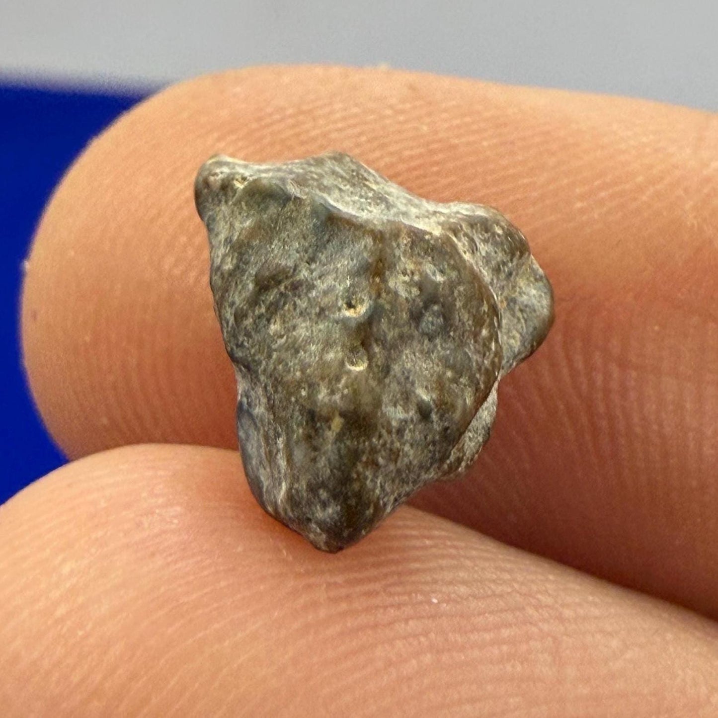 NWA 13974 Moon|Lunar Meteorite, Feldspathic Breccia, Moon Meteorite, Meteorite Collection, Lunar Feldspathic Breccia, 0.82 grams