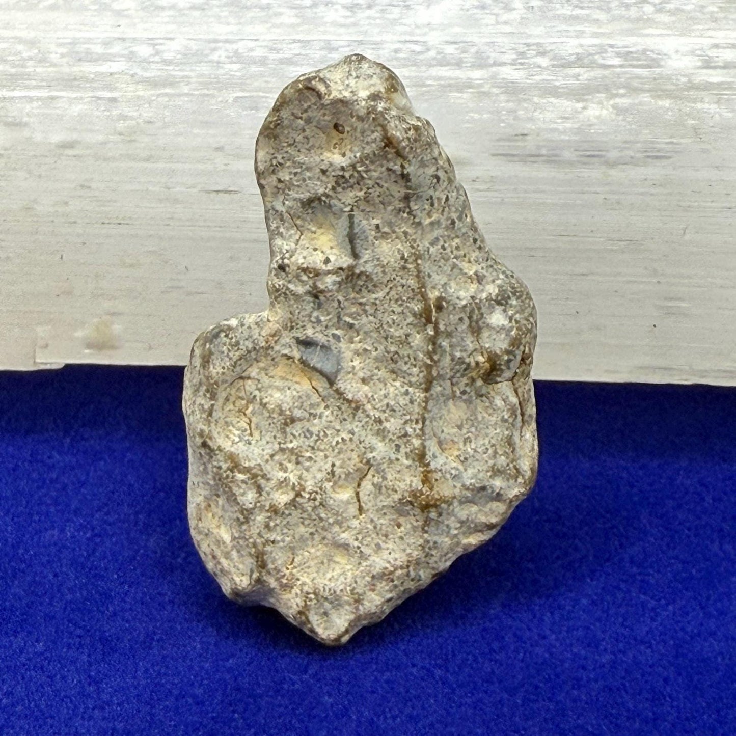 NWA 13974 Moon|Lunar Meteorite, Feldspathic Breccia, Moon Meteorite, Meteorite Collection, Lunar Feldspathic Breccia, 7.75 grams