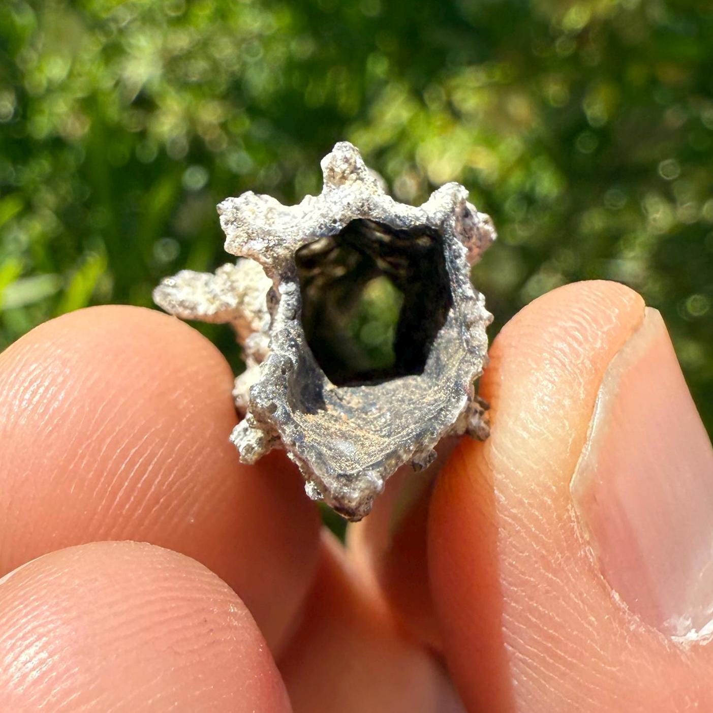 Fulgerite from Egypt, Fossilized Lighting, Sahara Desert, Rock Collection, Energy Work, Reiki, Manifestation, Science Gift, 2.28 grams