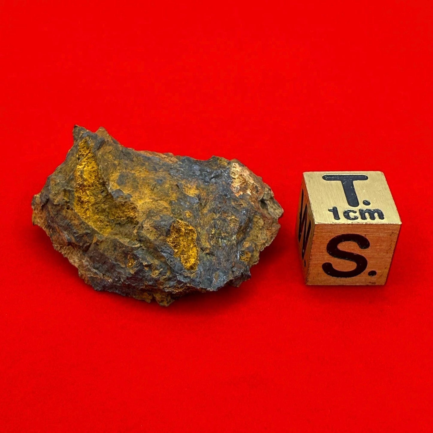 Wolf Creek Meteorite Specimen, Australia, 9.91 grams, Rare Meteorite, Iron Meteorite, Astronomy Gift, Space Gift, Australian Meteorite