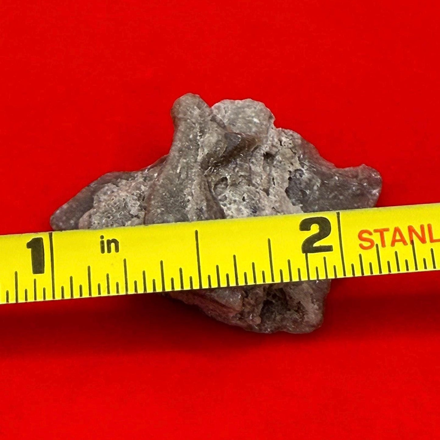 Darwin Glass, Darwinite, Tektite, Grounding, Manifestation Talisman, Impactite from Tasmania, Astronomy Gift, Tektite Collection, 4.0 grams