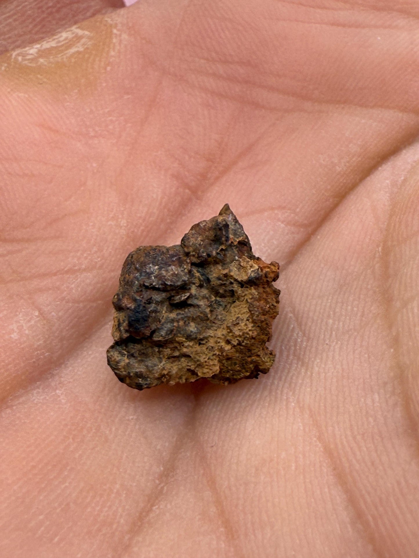Wolf Creek Meteorite Specimen, Australia, 1.20 grams, Rare Meteorite, Iron Meteorite, Astronomy Gift, Space Gift, Australian Meteorite