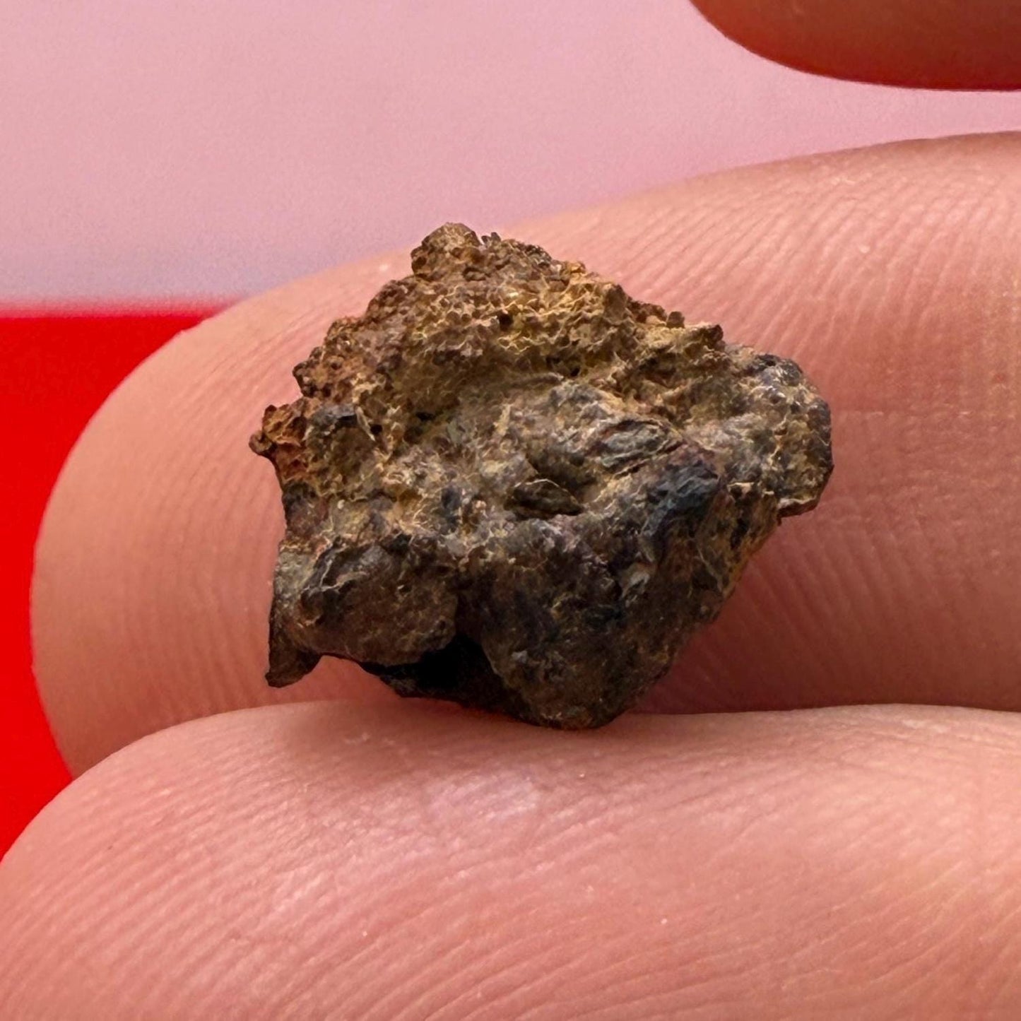 Wolf Creek Meteorite Specimen, Australia, 1.20 grams, Rare Meteorite, Iron Meteorite, Astronomy Gift, Space Gift, Australian Meteorite