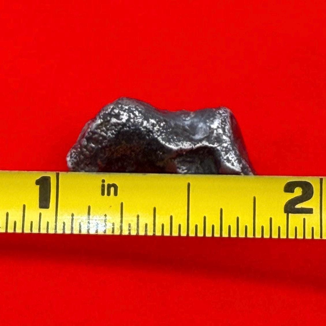 Sikhote-Alin Meteorite “Russia” Specimen 8.44 grams, Authentic Meteorite, Space Gift, Meteorite Collection, Space, Astronomy Gift