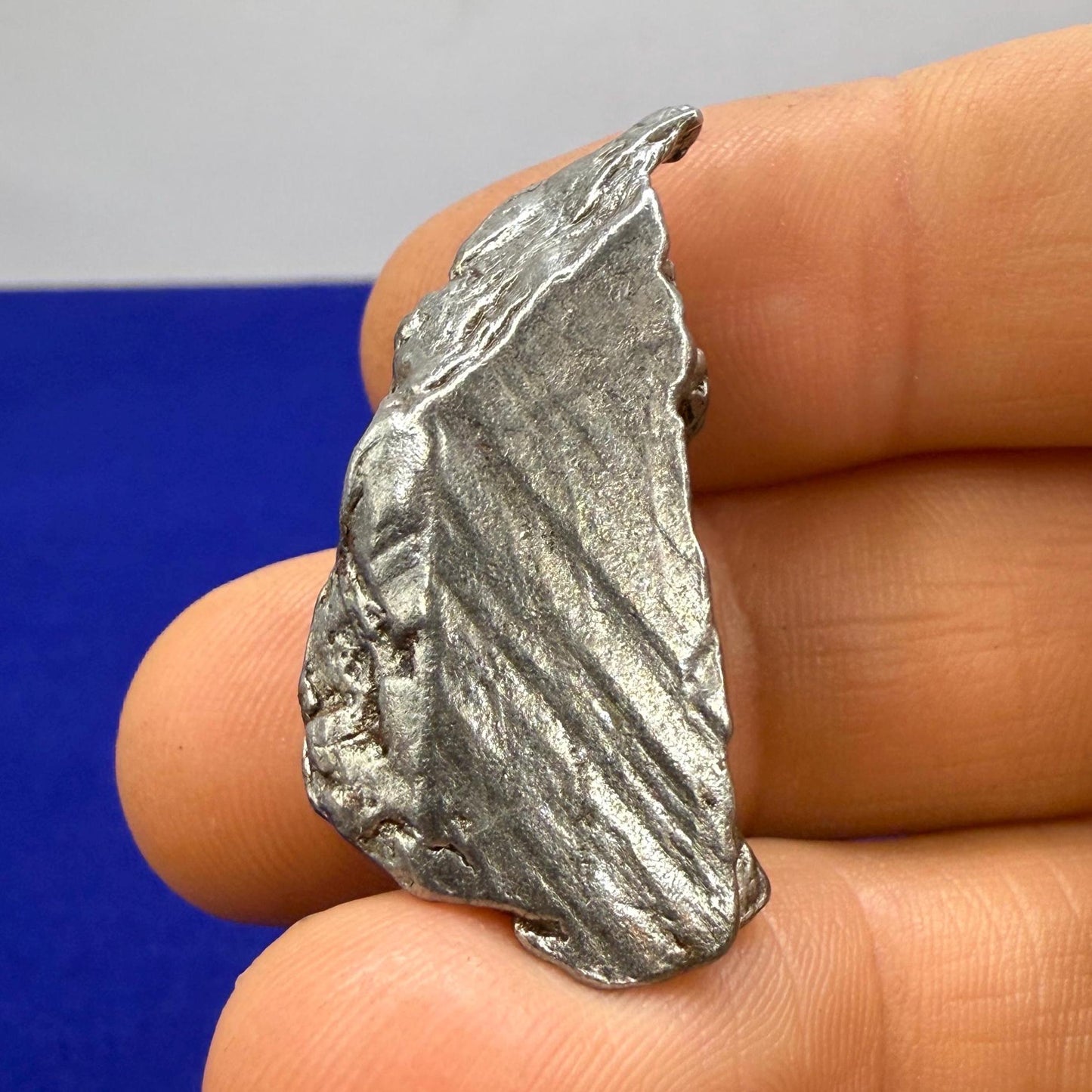Beautiful Aletai Meteorite Specimen, 21.44 grams, COA, Meteorite Collection, Astronomy Gift, Authentic Iron Meteorite, Space Gift, Space