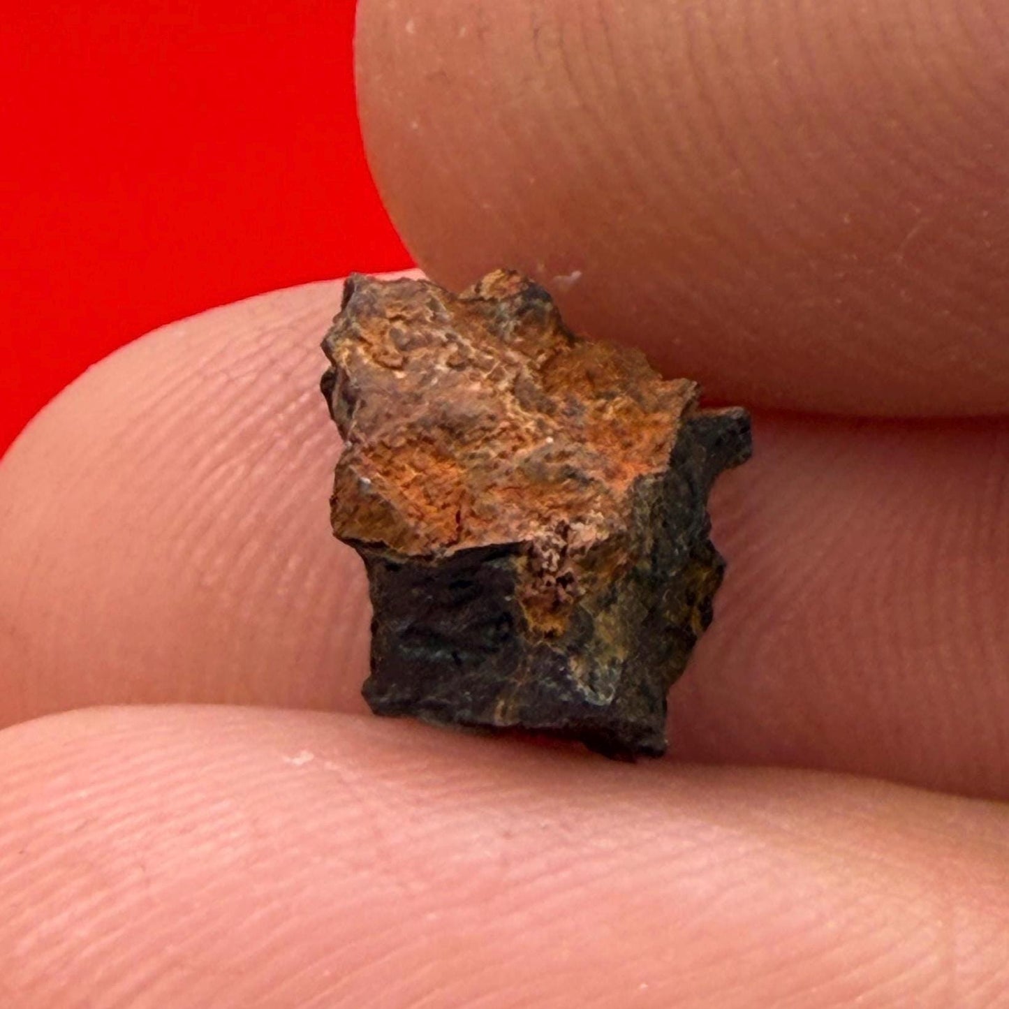 Wolf Creek Meteorite Specimen, Australia, 0.62 grams, Rare Meteorite, Iron Meteorite, Astronomy Gift, Space Gift, Australian Meteorite