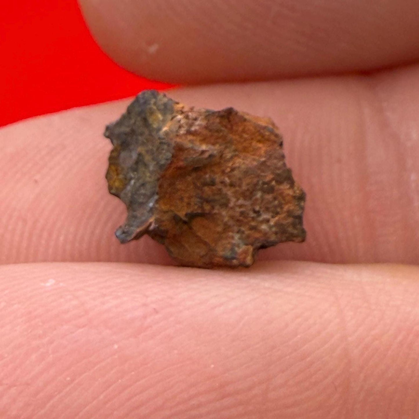 Wolf Creek Meteorite Specimen, Australia, 0.62 grams, Rare Meteorite, Iron Meteorite, Astronomy Gift, Space Gift, Australian Meteorite