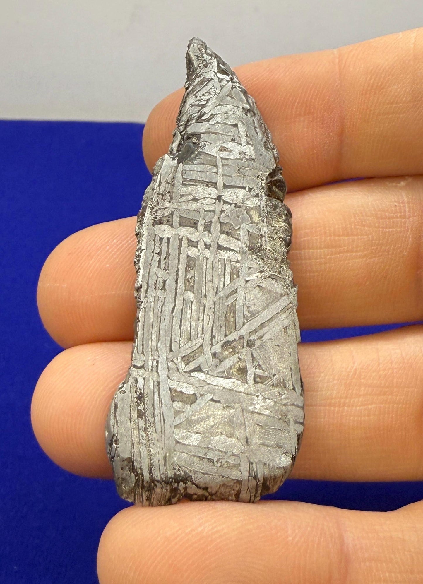 Aletai Etched and Polished Slice, Etched and Polished Meteorite, Astronomy Gift, Space, Iron Meteorite, Meteorite Collection, 16.14 Grams