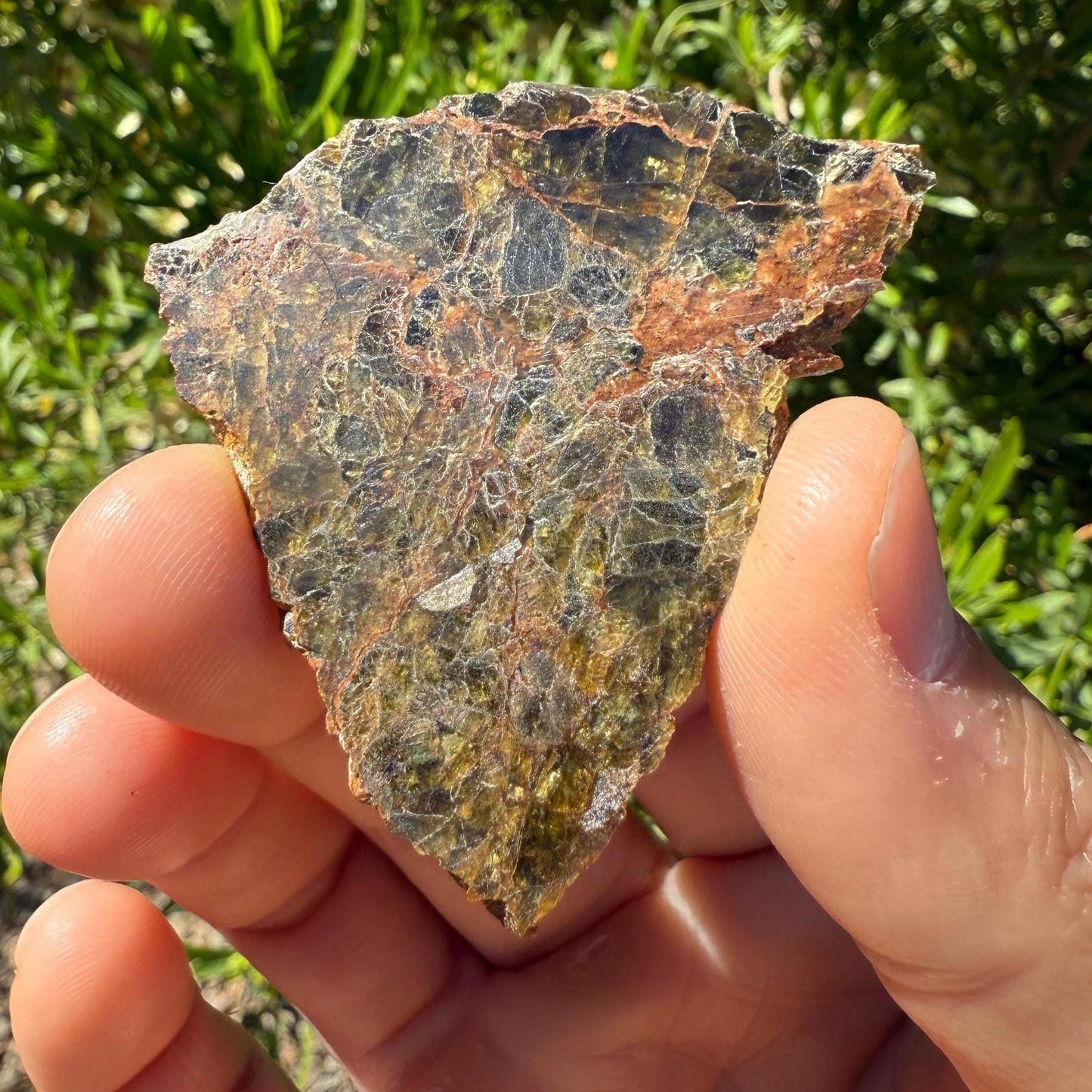 NWA 7831 Diogenite Meteorite Slice, HED Achondrite Meteorite, Diogenite, Astronomy Gift, Space Gift, Iron Meteorite, Space, 9.67 grams