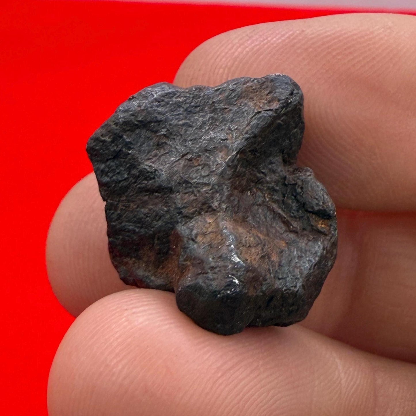 Canyon Diablo Meteorite Specimen, Arizona, 14.08 grams, Rare Meteorite, Iron Meteorite, Astronomy Gift, Space Gift, Energy Work, Meteorite