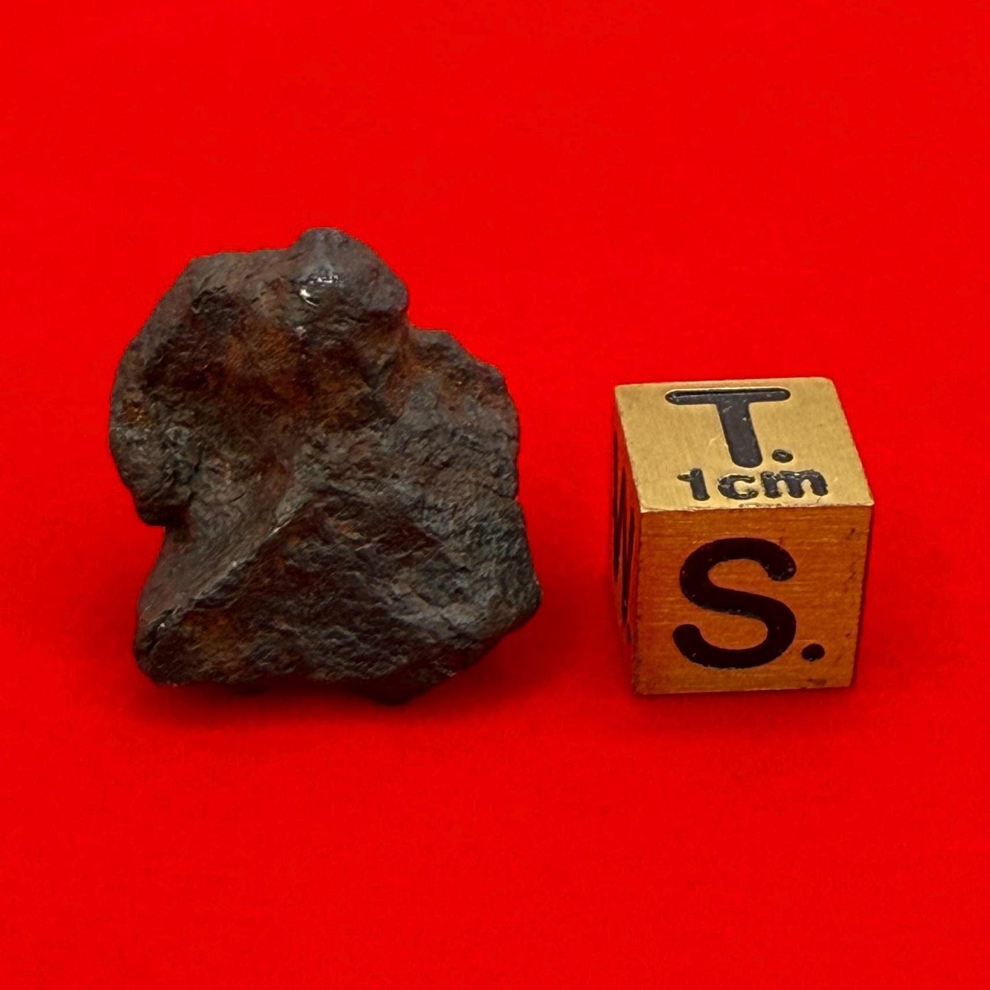 Canyon Diablo Meteorite Specimen, Arizona, 14.08 grams, Rare Meteorite, Iron Meteorite, Astronomy Gift, Space Gift, Energy Work, Meteorite