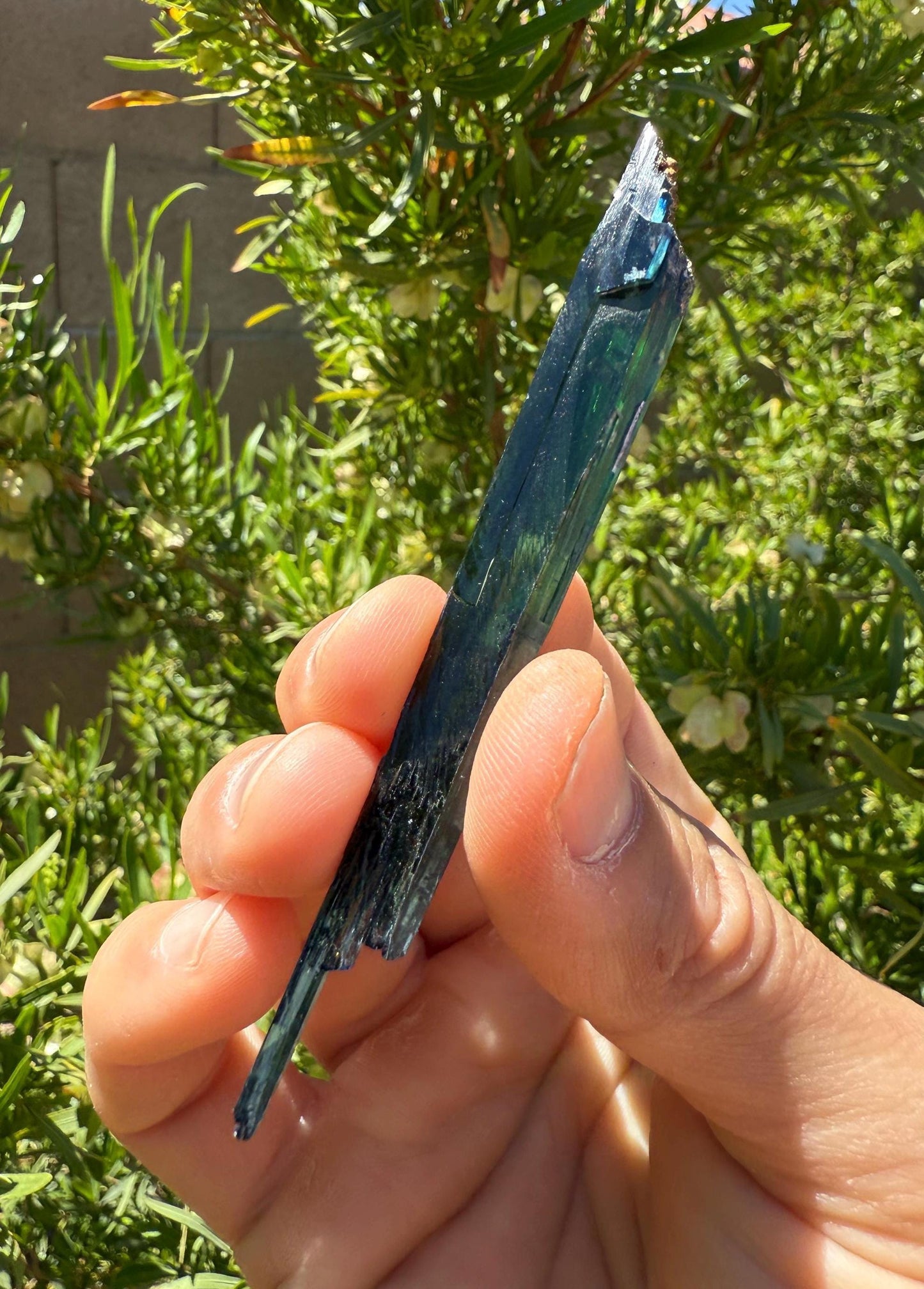 Rare Vivianite Crystal, Vivianite, Vivianite, Brazilian Vivianite, Reiki Energy, Crystal Collection, Reiki, 7.00 grams| 35.00 carats