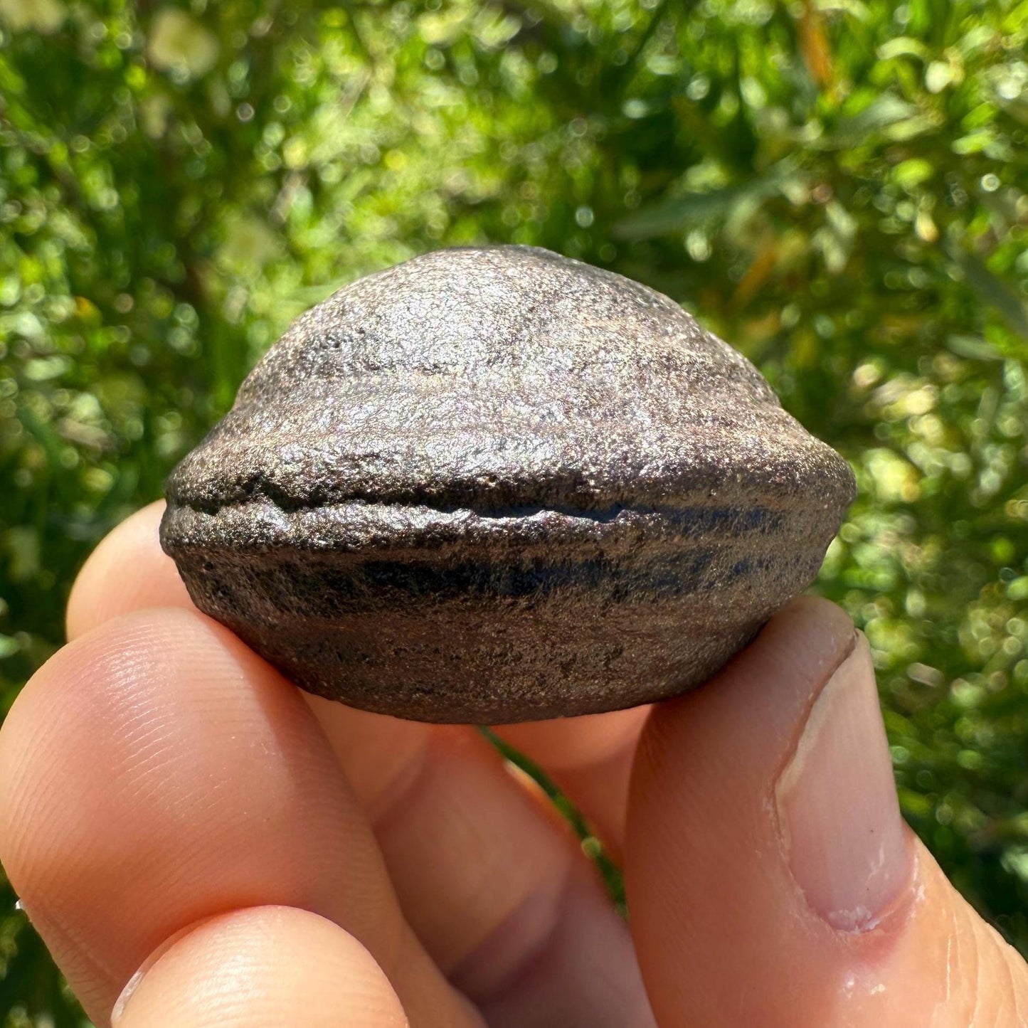Moqui Marbles, Pair of Stones, Top Quality Stones, Shaman Stones, Southern Utah, Thunder Stones, Hopi Marbles, Sandstone, 63.08 grams