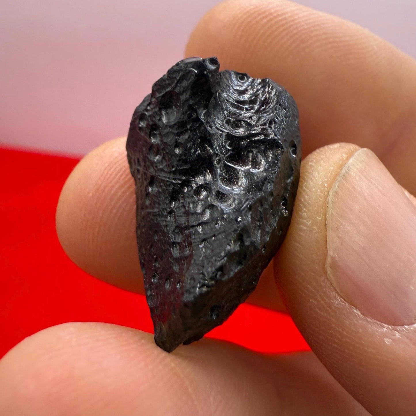 Billitonite Tektite, Reiki, Batu Satam, Rare Tektite, Healing, Space Gift, Astronomy Gift, Meteorite and Tektite Collection, 7.02 grams