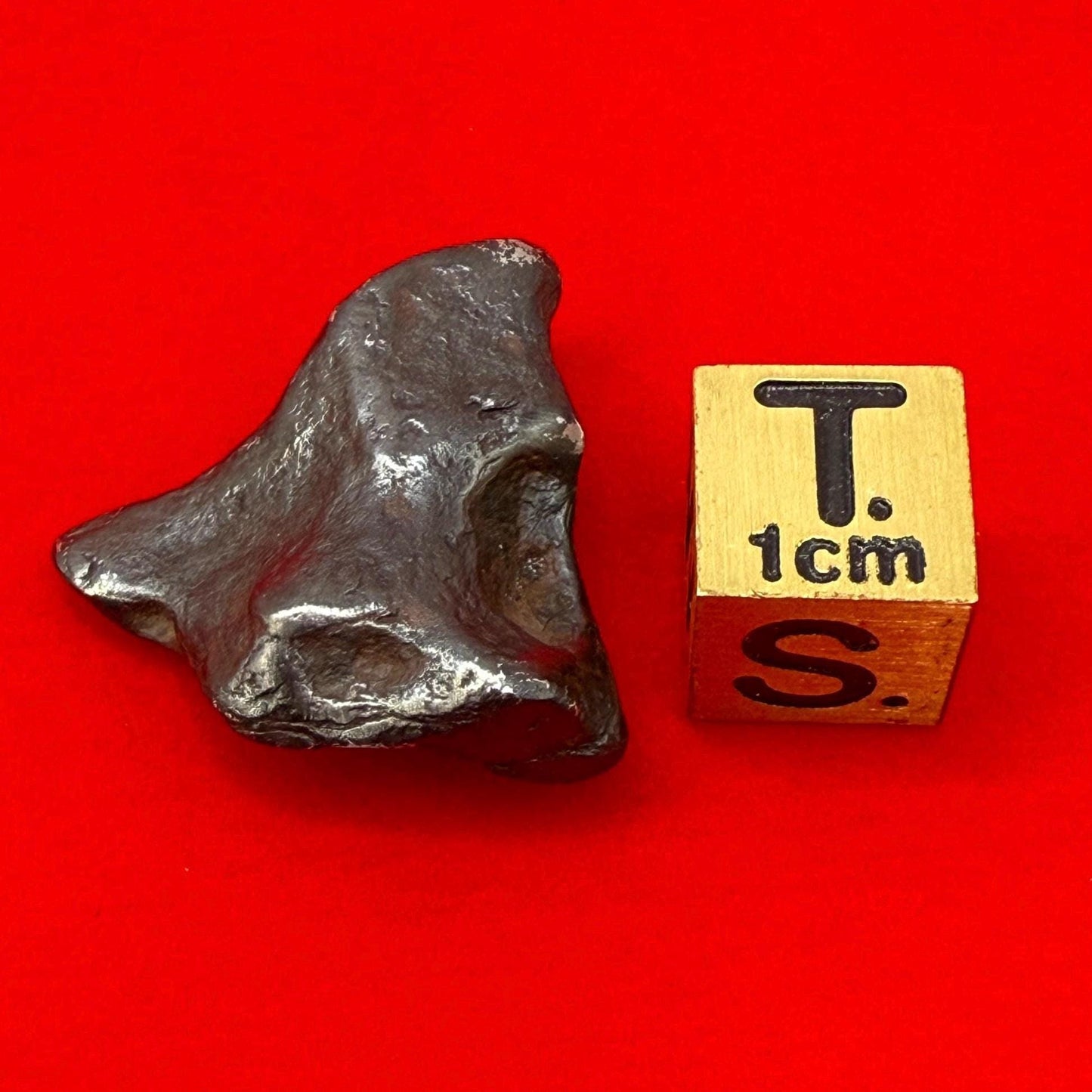 Rare and Unique Agoudal Meteorite Specimen, grams, Iron Meteorite, Astronomy Gift, Space Gift, Meteorites, Iron Meteorite, 8.42 grams