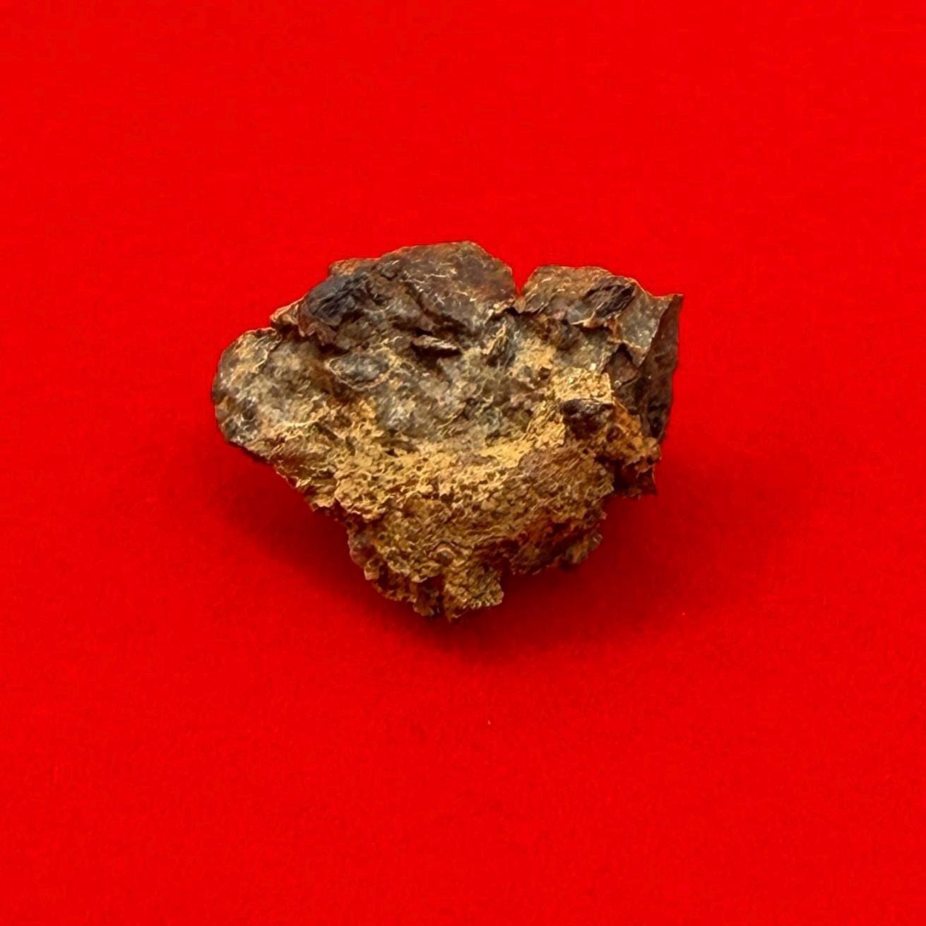 Wolf Creek Meteorite Specimen, Australia, 1.20 grams, Rare Meteorite, Iron Meteorite, Astronomy Gift, Space Gift, Australian Meteorite