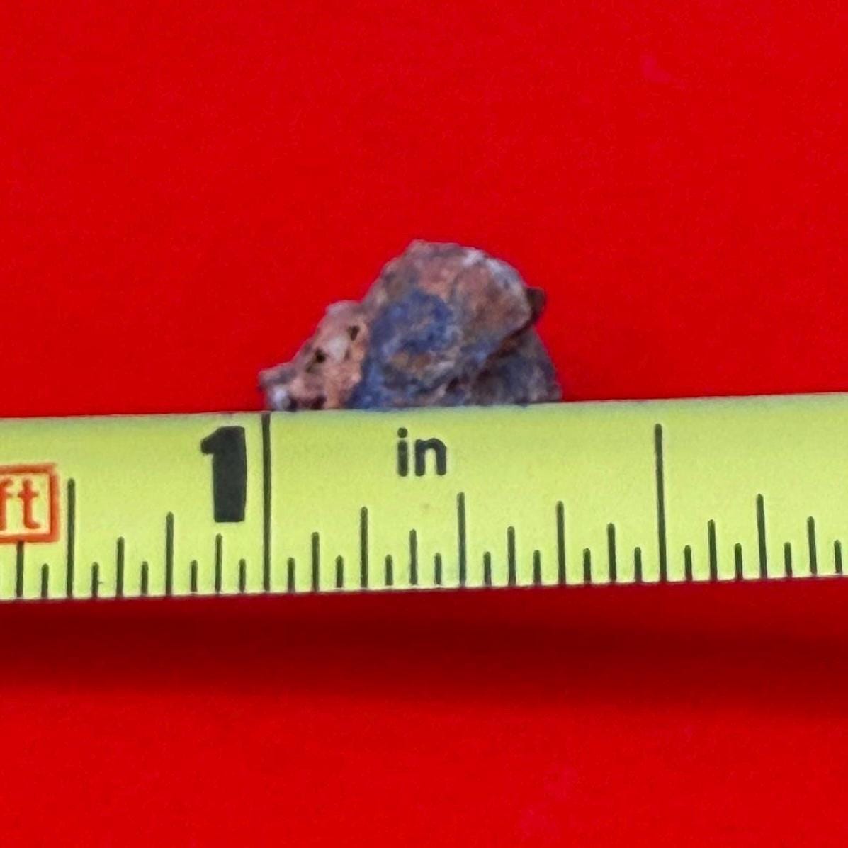 Wolf Creek Meteorite Specimen, Australia, 1.20 grams, Rare Meteorite, Iron Meteorite, Astronomy Gift, Space Gift, Australian Meteorite