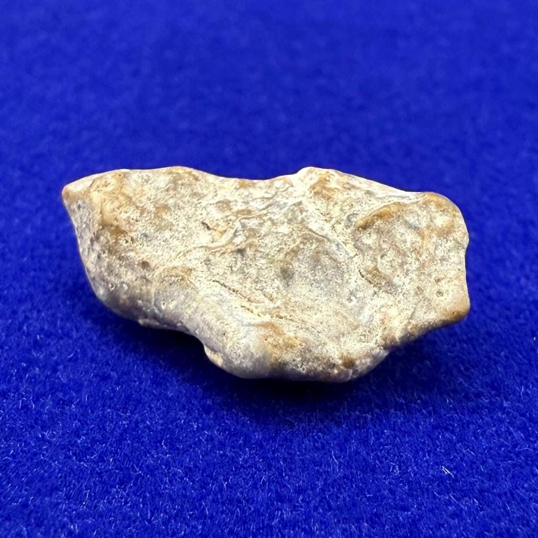 NWA 13974 Moon|Lunar Meteorite, Feldspathic Breccia, Moon Meteorite, Meteorite Collection, Lunar Feldspathic Breccia, 0.88 grams