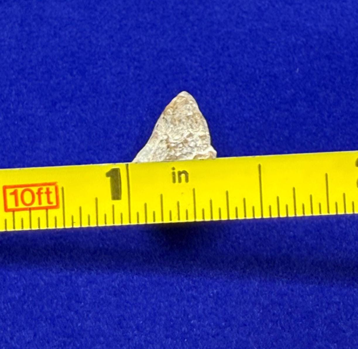 NWA 13974 Moon|Lunar Meteorite, Feldspathic Breccia, Moon Meteorite, Meteorite Collection, Lunar Feldspathic Breccia, 0.88 grams