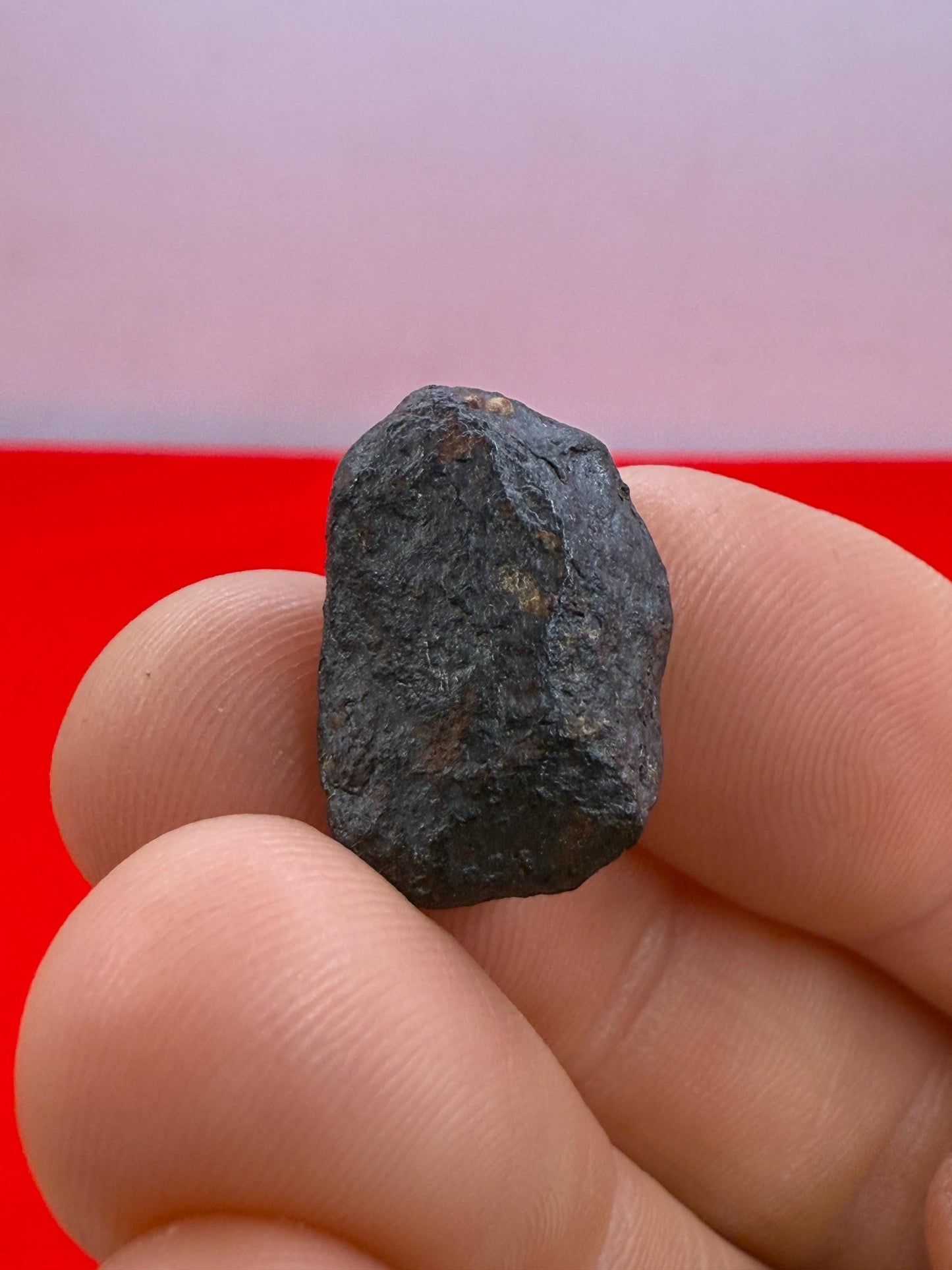 Unique Iron Meteorite Mundrabilla, 9.13 grams, Astronomy Gift, Space Gift, Iron Meteorite, Australia, Meteorite Collection, Space, COA