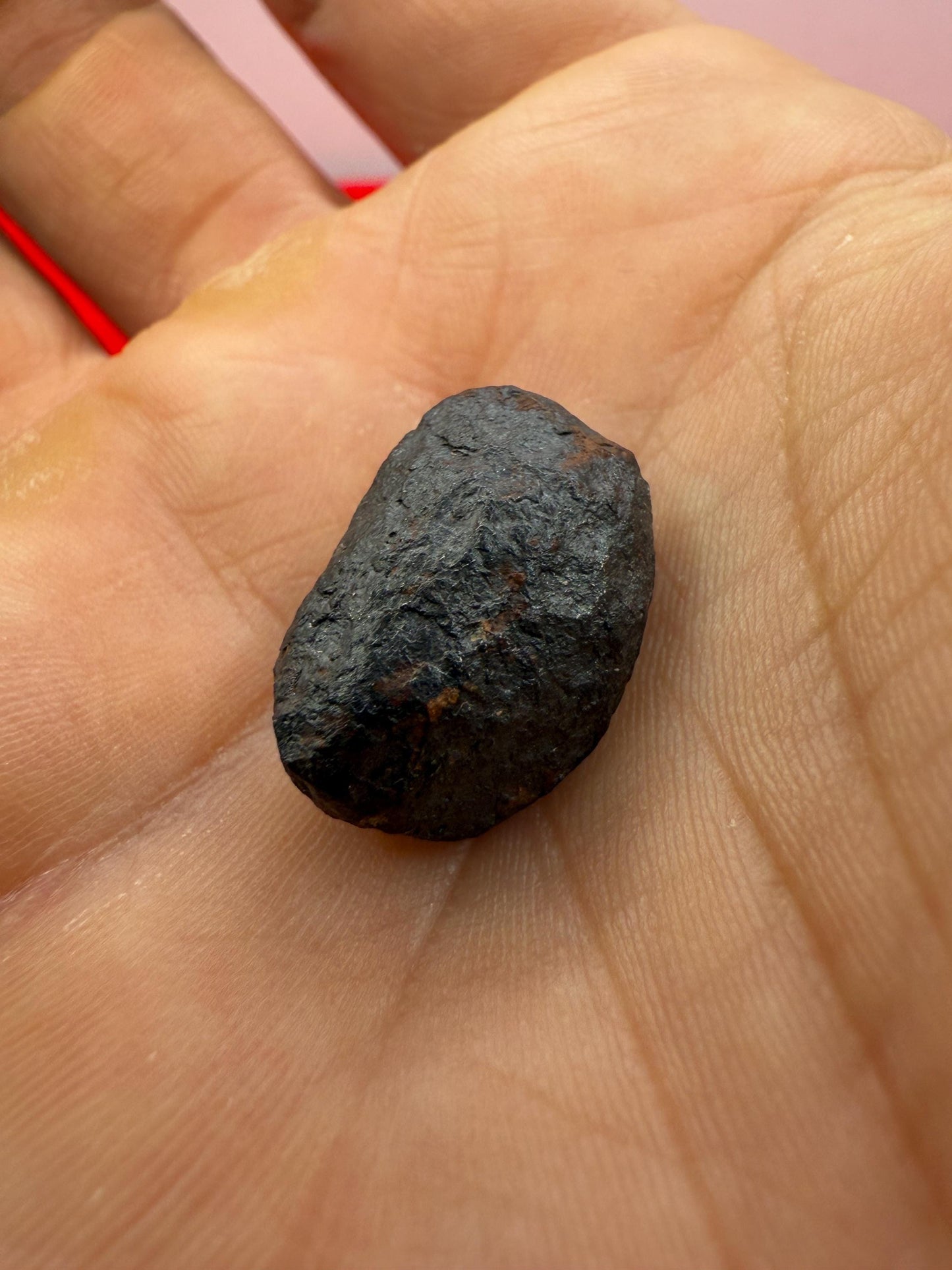 Unique Iron Meteorite Mundrabilla, 9.13 grams, Astronomy Gift, Space Gift, Iron Meteorite, Australia, Meteorite Collection, Space, COA