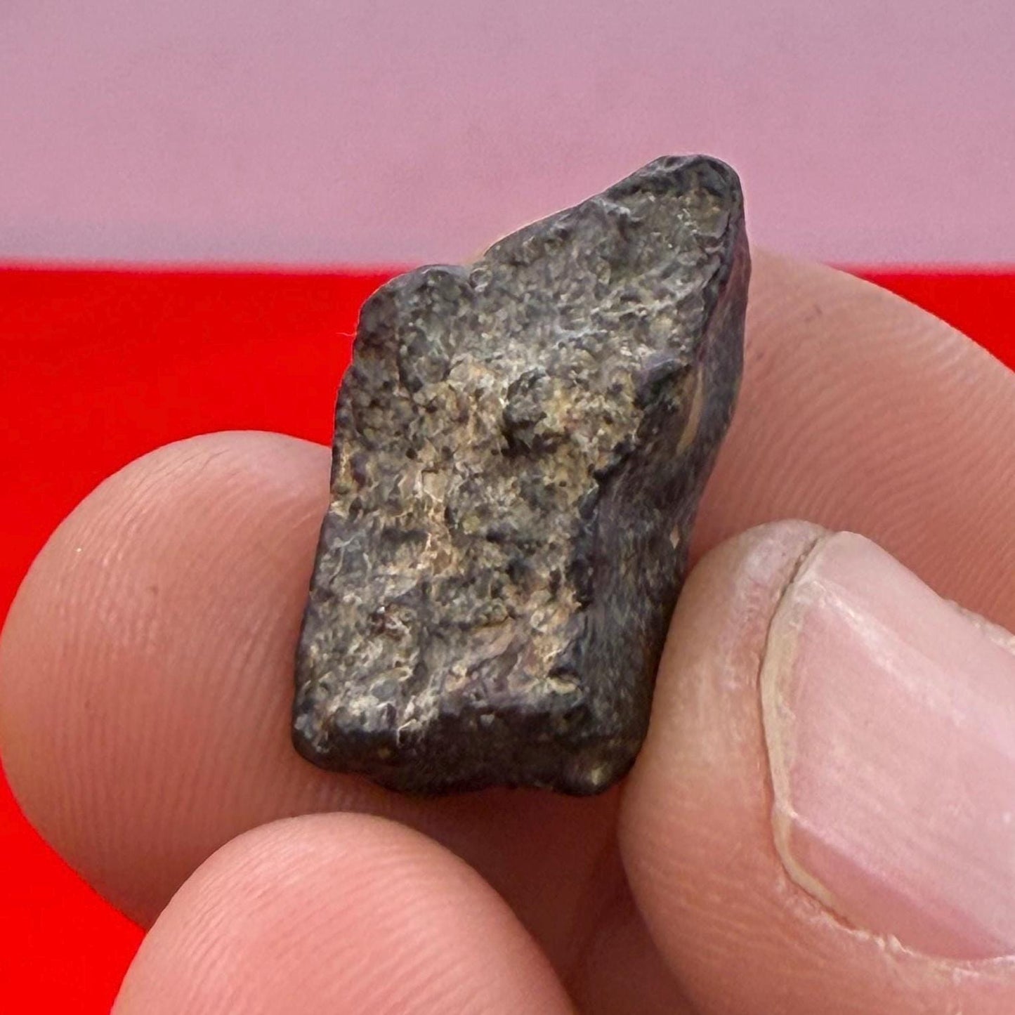 Meteorite NWA 869 Chondrite Stony Meteorite, 3.96 grams, Authentic Meteorite, Authentic Meteorite, COA, Astronomy Gift, Space Gift