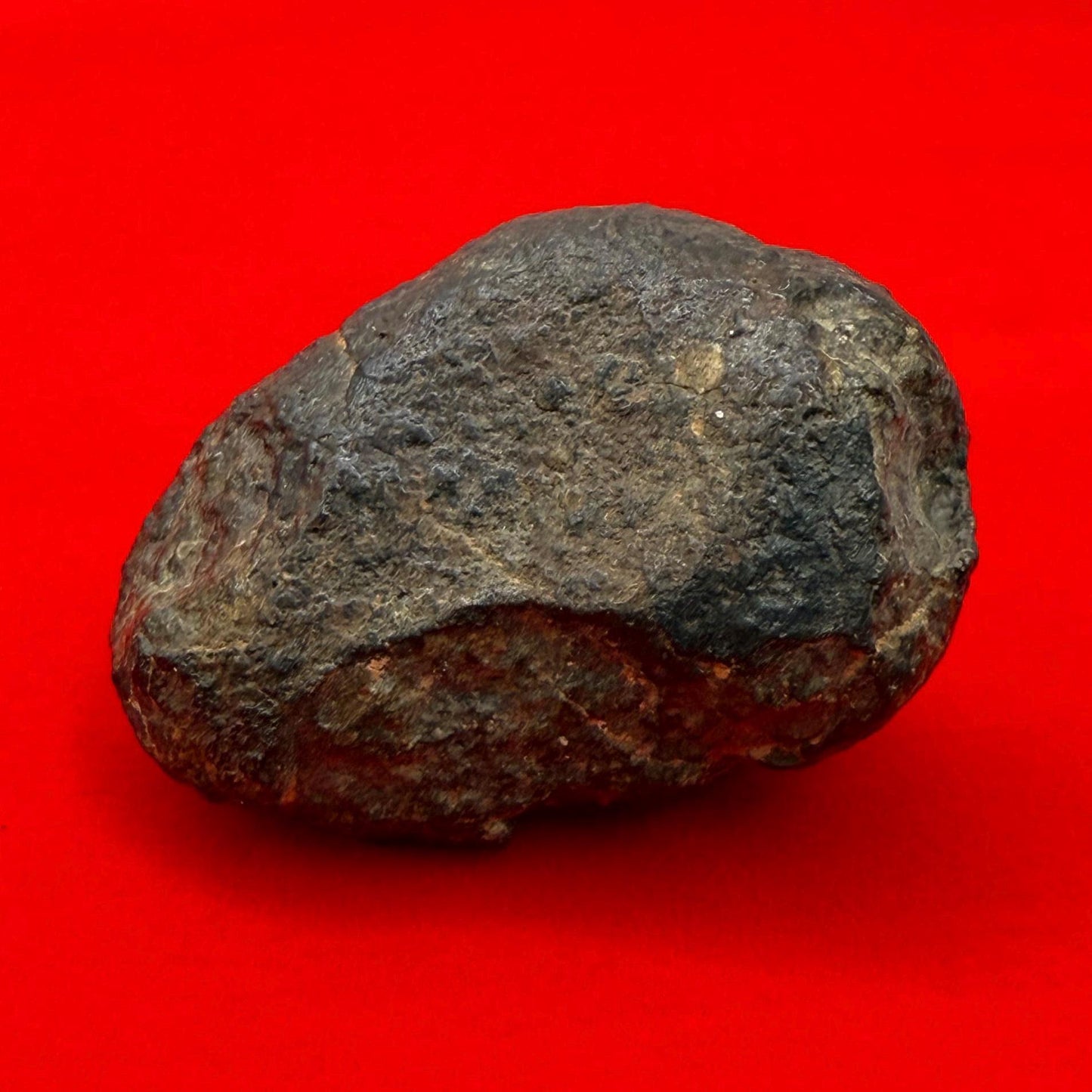 Meteorite NWA 869 Chondrite Stony Meteorite, 30.80 grams, Authentic Meteorite, Authentic Meteorite, COA, Astronomy Gift, Space Gift