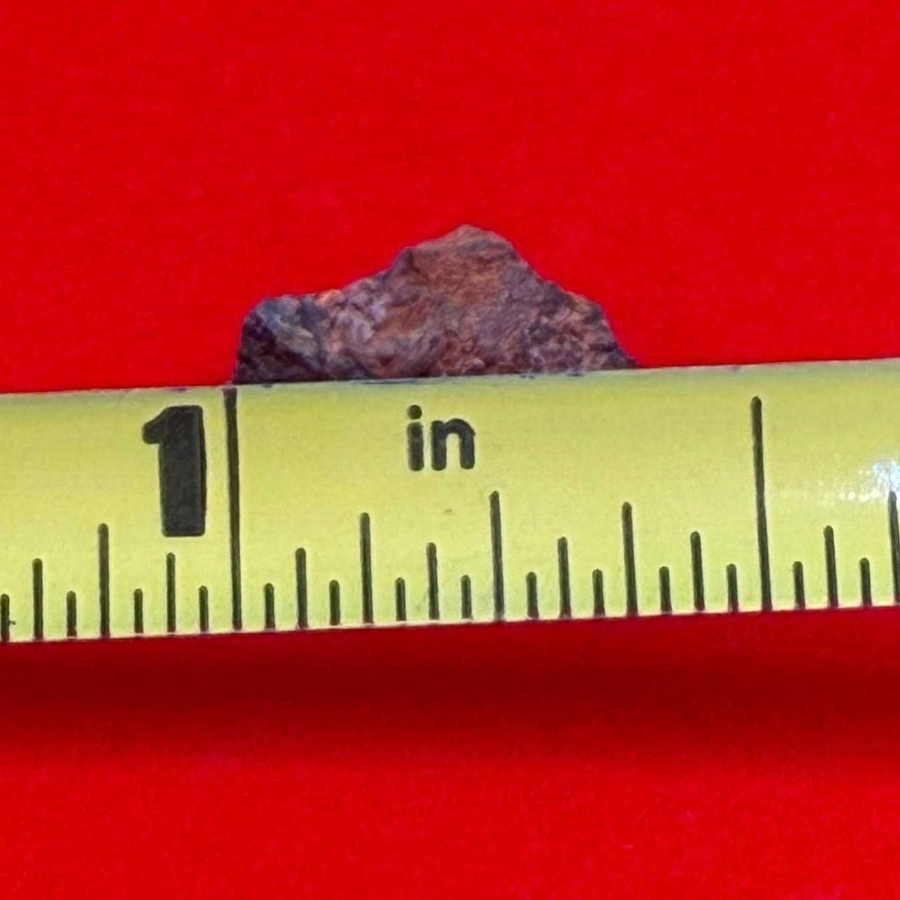 Wolf Creek Meteorite Specimen, Australia, 0.62 grams, Rare Meteorite, Iron Meteorite, Astronomy Gift, Space Gift, Australian Meteorite