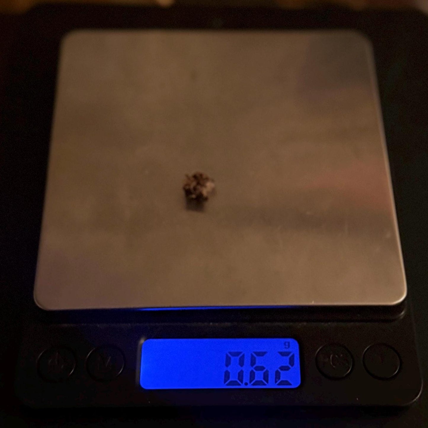 Wolf Creek Meteorite Specimen, Australia, 0.62 grams, Rare Meteorite, Iron Meteorite, Astronomy Gift, Space Gift, Australian Meteorite