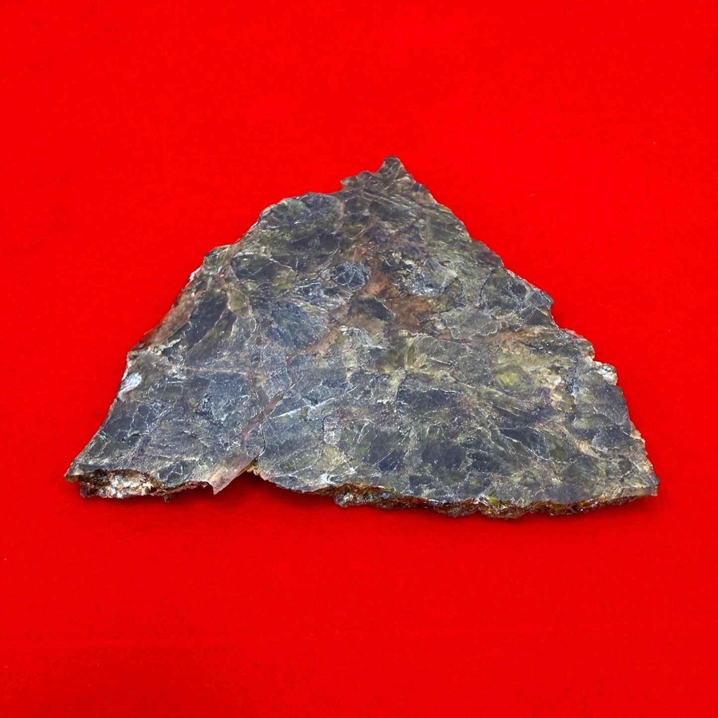 NWA 7831 Diogenite Meteorite Slice, HED Achondrite Meteorite, Diogenite, Astronomy Gift, Space Gift, Iron Meteorite, Space, 9.67 grams