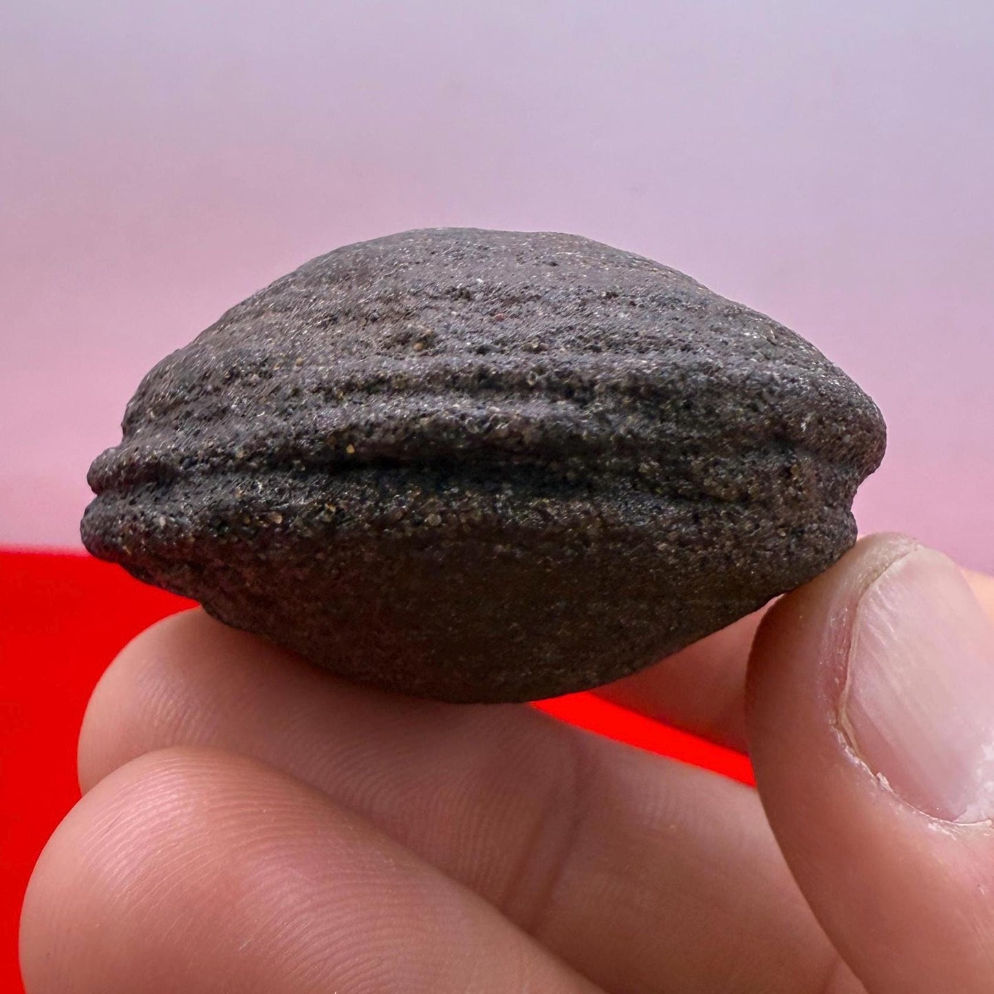 Moqui Marbles, Pair of Stones, Top Quality Stones, Shaman Stones, Southern Utah, Thunder Stones, Hopi Marbles, Sandstone, 101.69 grams