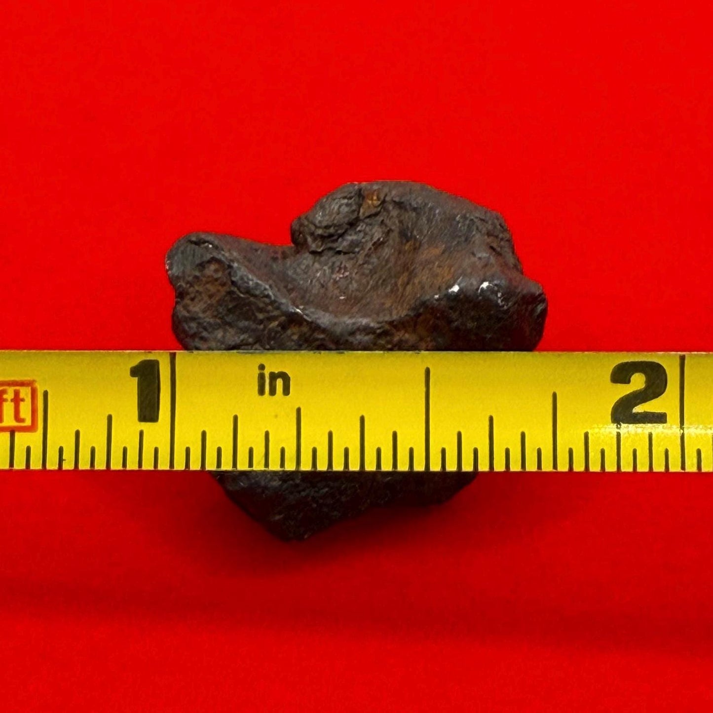 Canyon Diablo Meteorite Specimen, Arizona, 14.08 grams, Rare Meteorite, Iron Meteorite, Astronomy Gift, Space Gift, Energy Work, Meteorite