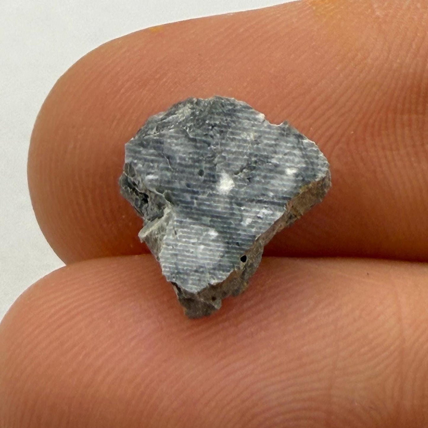 Gadamis 003 Moon/Lunar Meteorite Slice, Authentic Lunar Meteorite,Apollo Lunar, Moon Meteorite, Meteorite Collection, Moon Slice, 0.51 grams