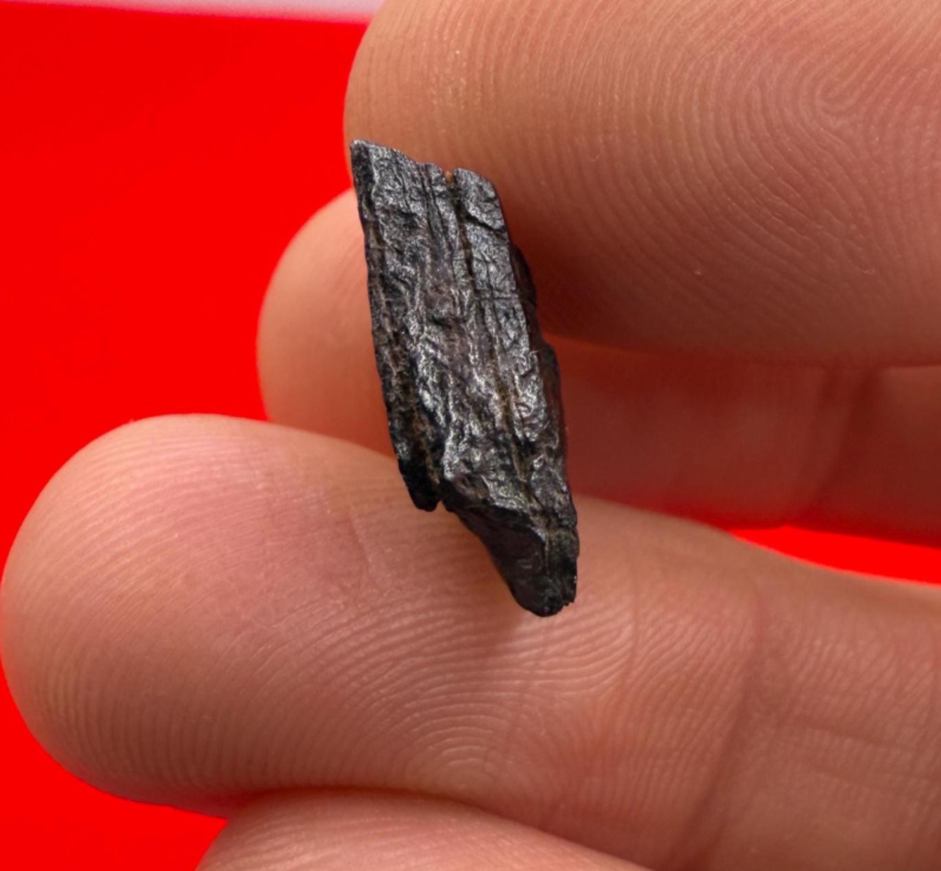 Gibeon Meteorite, Namibia, Iron IVA, 2.90 grams, Rare Meteorite, Iron Meteorite, Astronomy Gift, Space Gift, African Meteorite